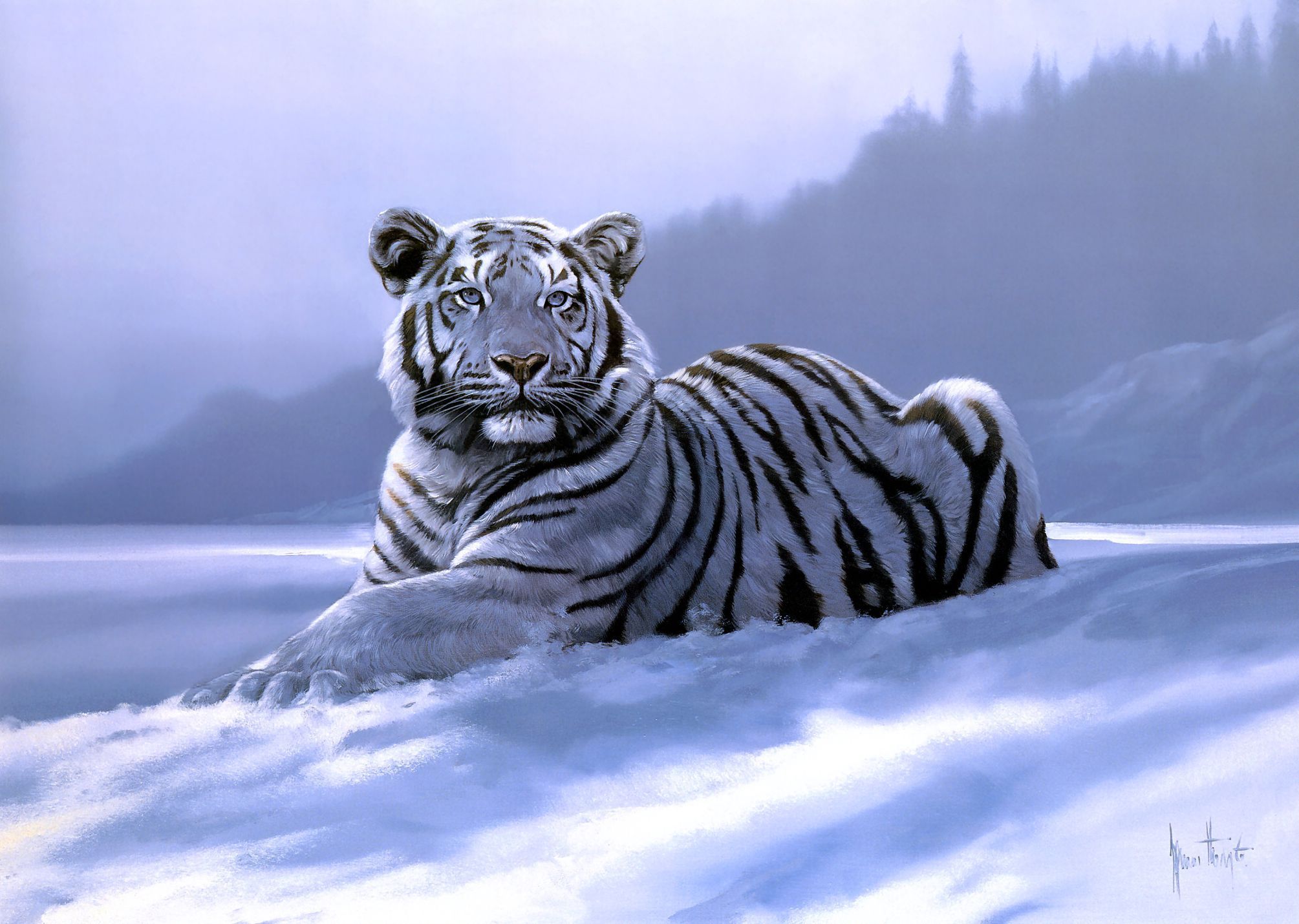 247072 baixar papel de parede animais, tigre branco, gatos - protetores de tela e imagens gratuitamente
