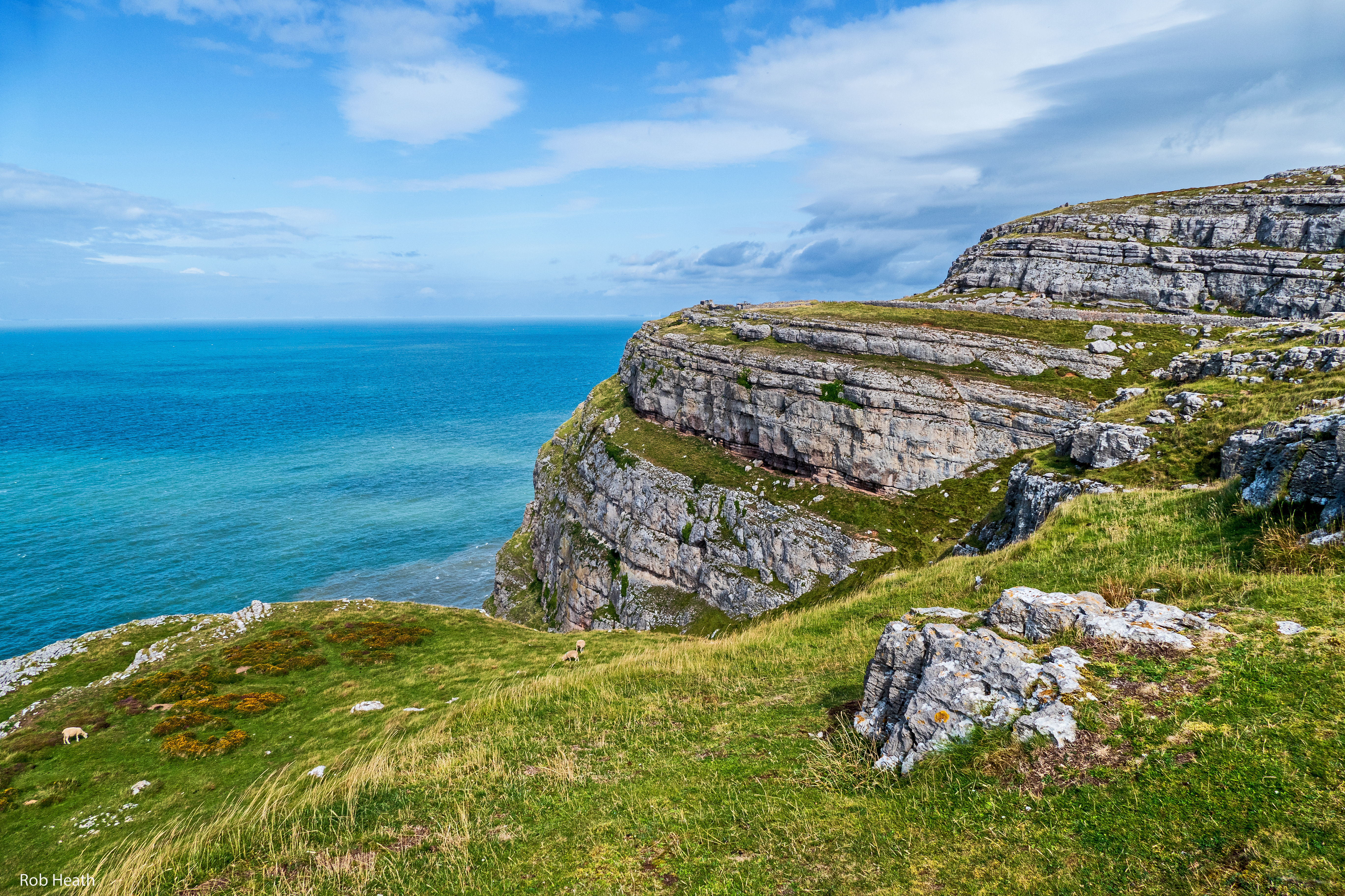 Download mobile wallpaper View, Cliff, Coast, Sea, Landscape, Nature for free.