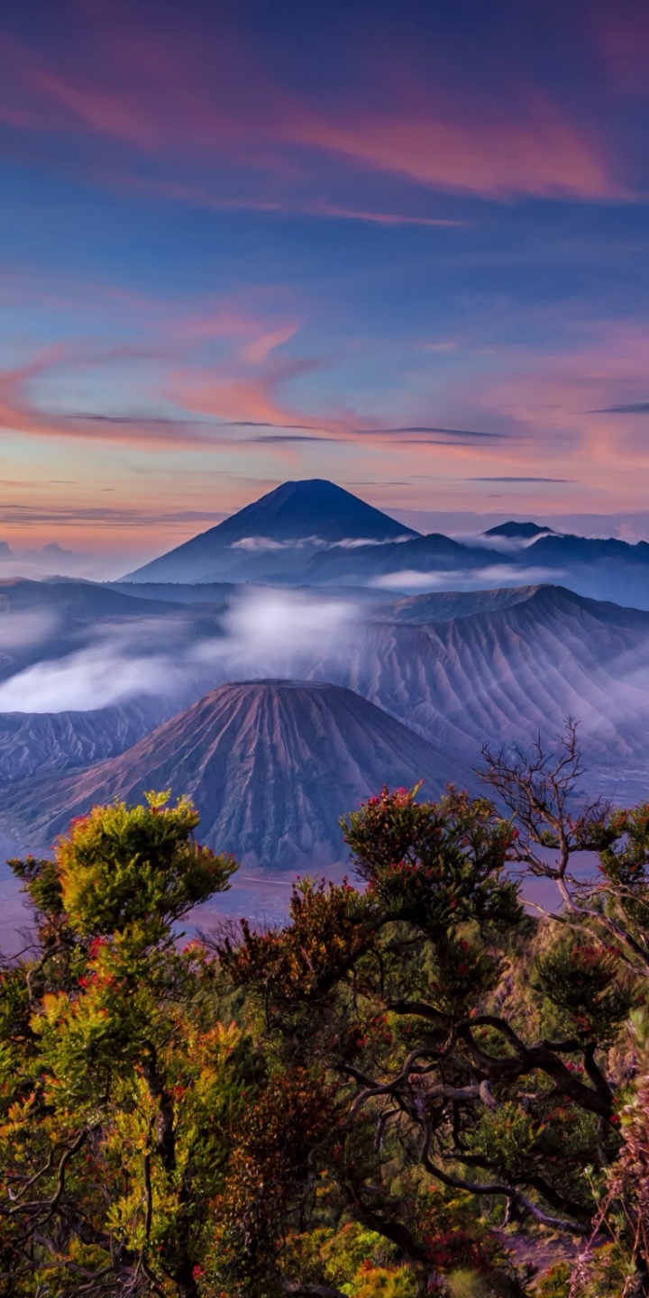 Mobile wallpaper mount bromo, landscape, earth, sunrise, volcano, indonesia, stratovolcano, java (indonesia), volcanoes
