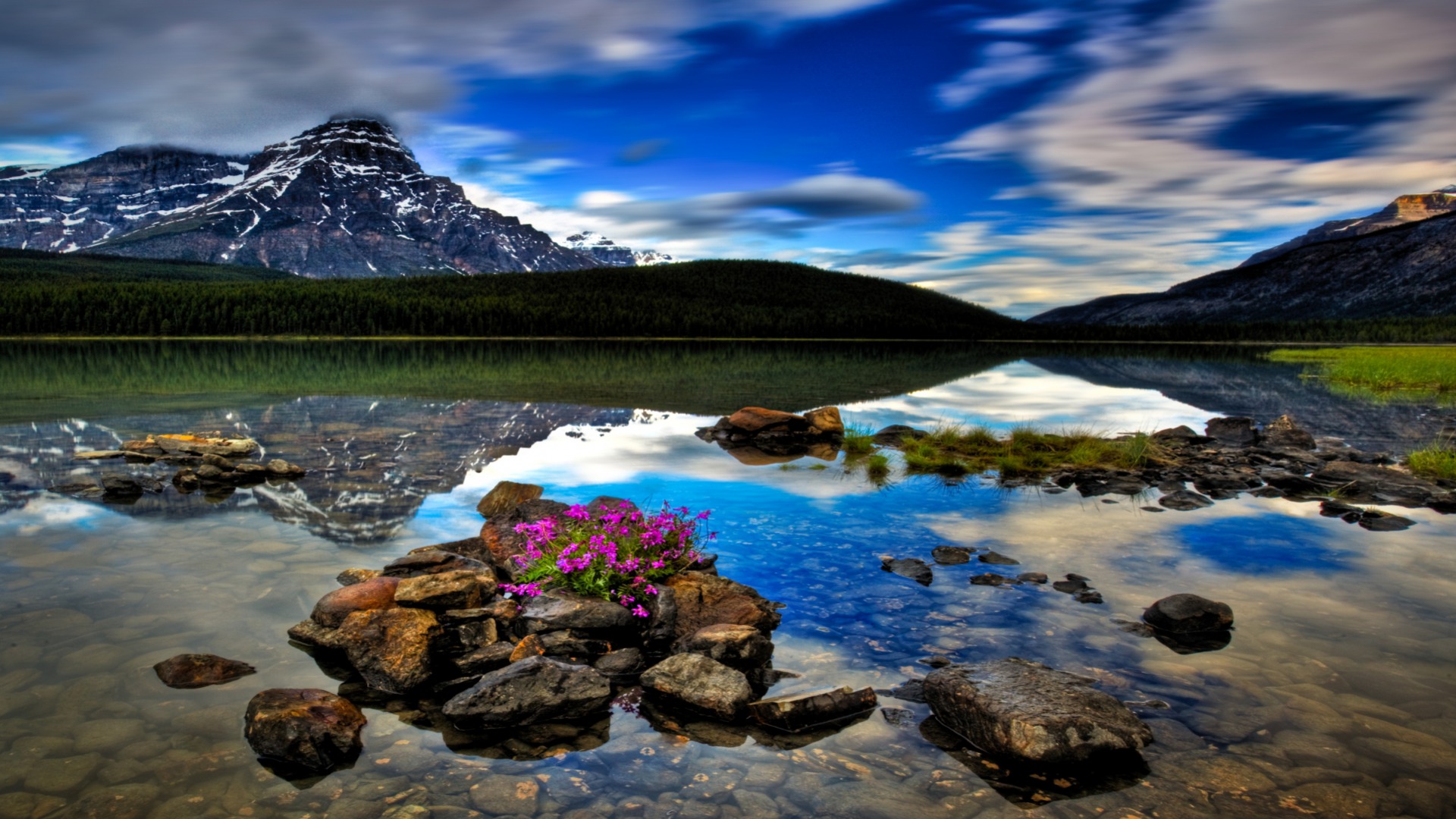 Горы озеро цветы камни
