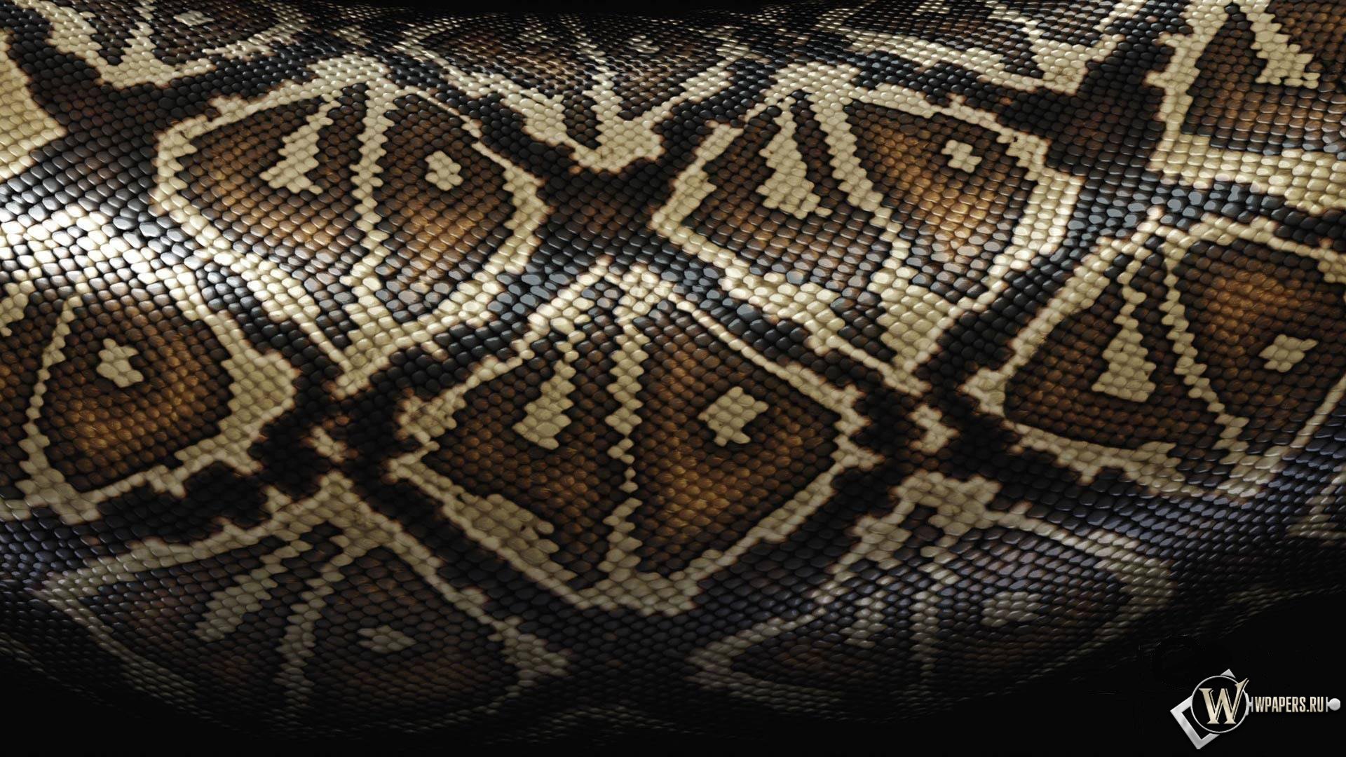black, background, snakes