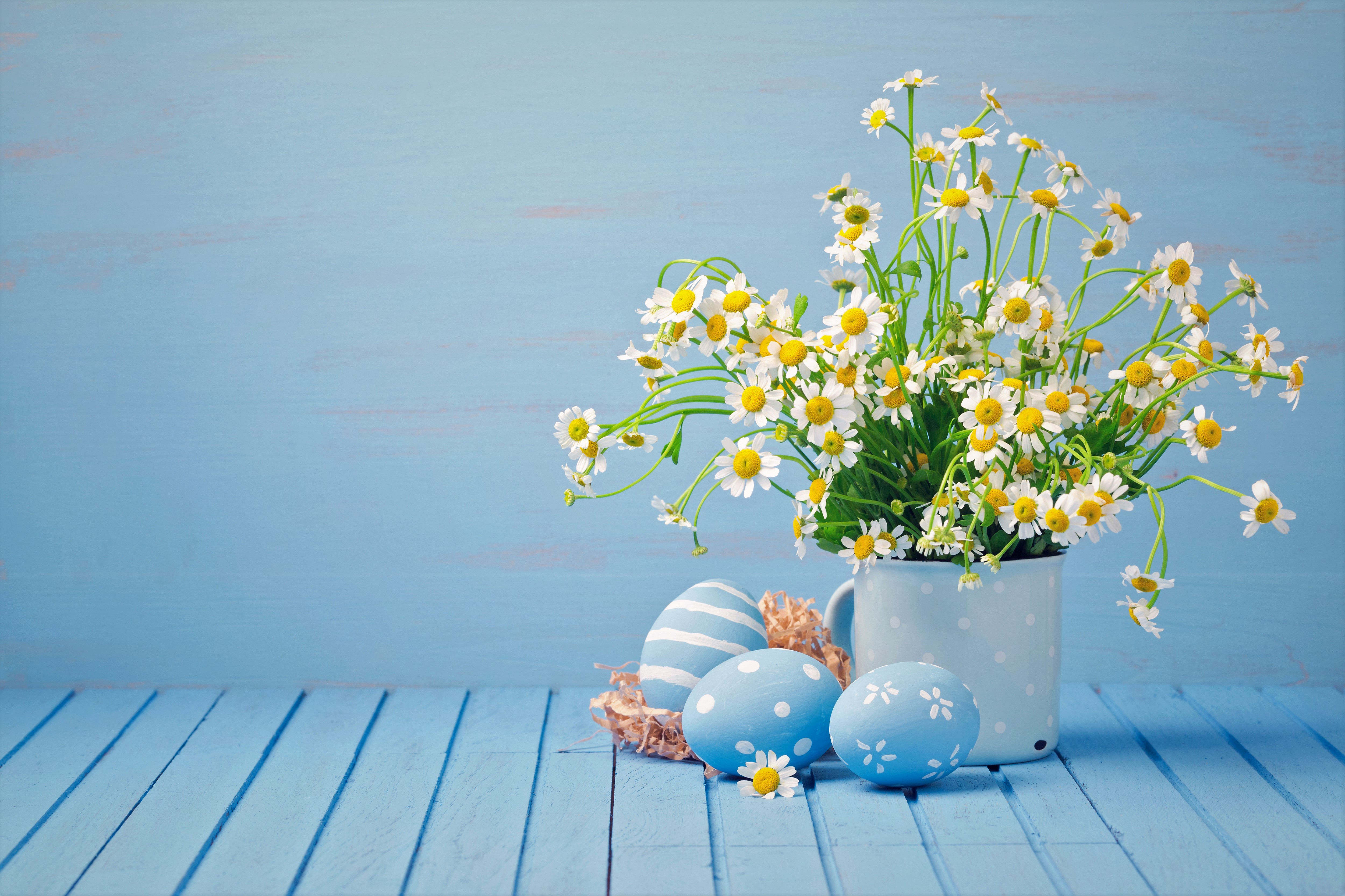 HD wallpaper easter, easter egg, camomile, white flower, holiday, flower