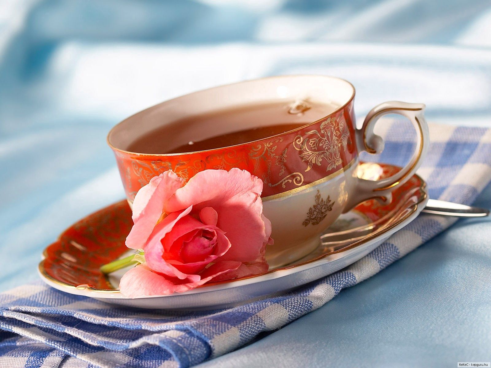 food, rose flower, rose, cup, tea, napkin HD wallpaper