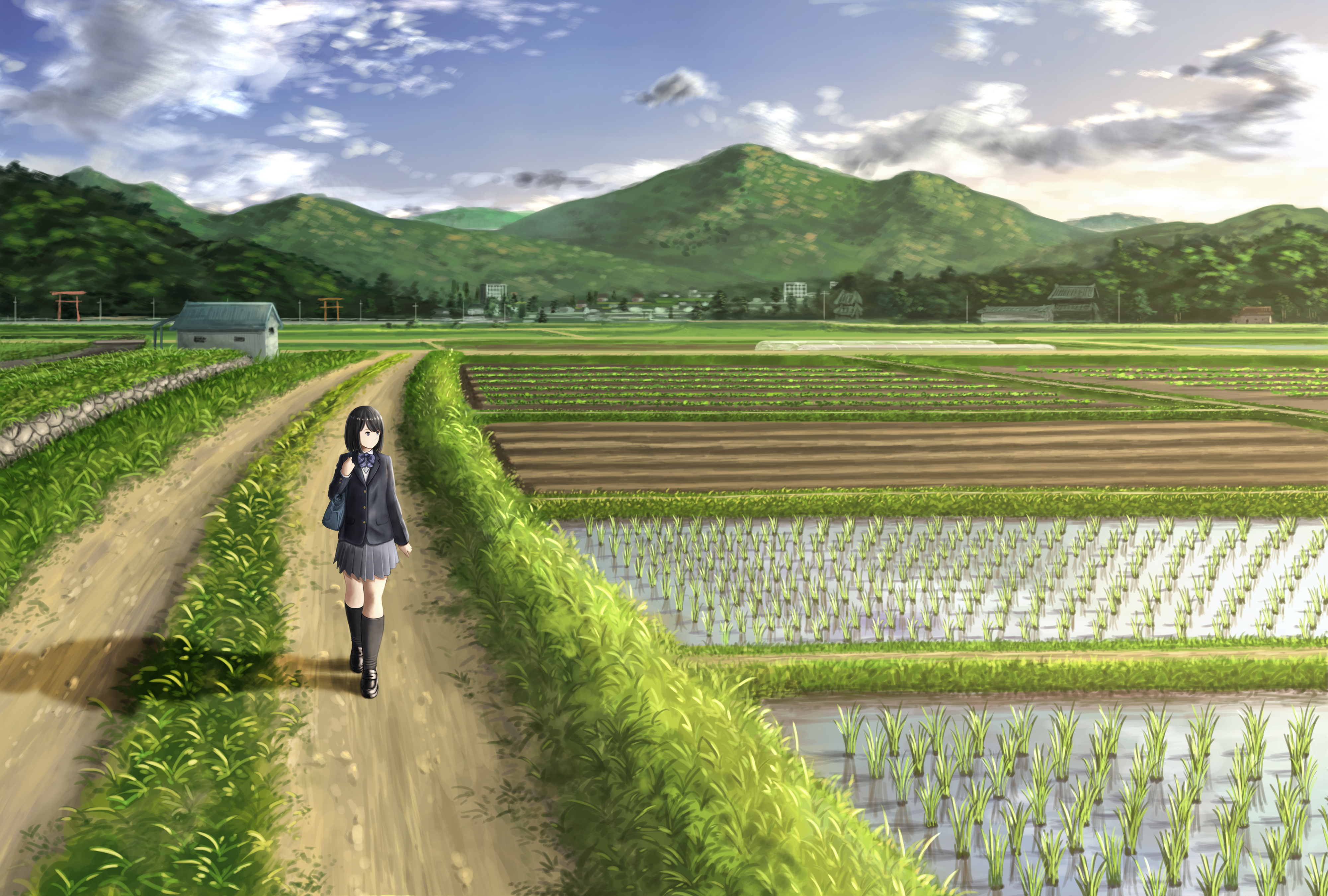 anime, original, bag, black hair, bow (clothing), cloud, field, mountain, short hair