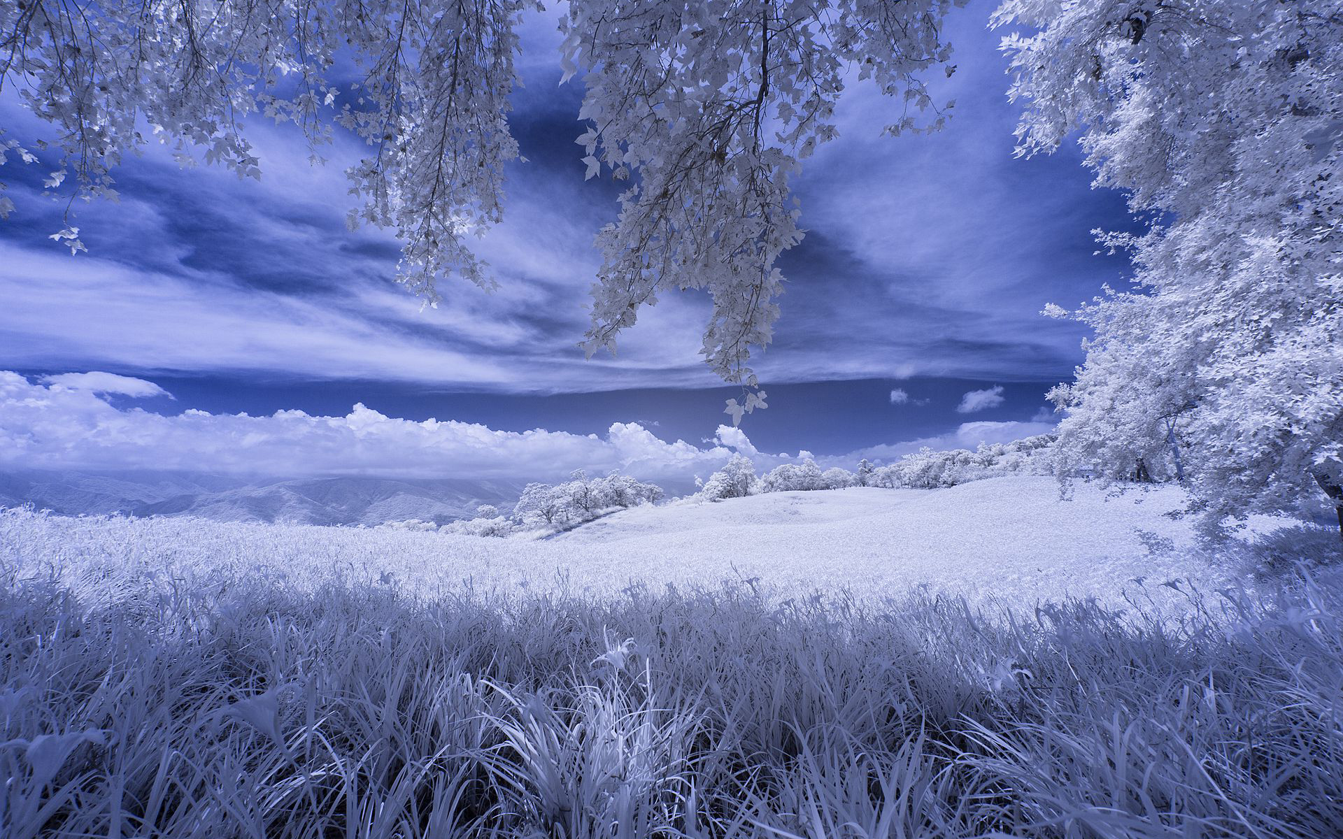 Фото на заставку телефона зима. Winter Tranquillity.