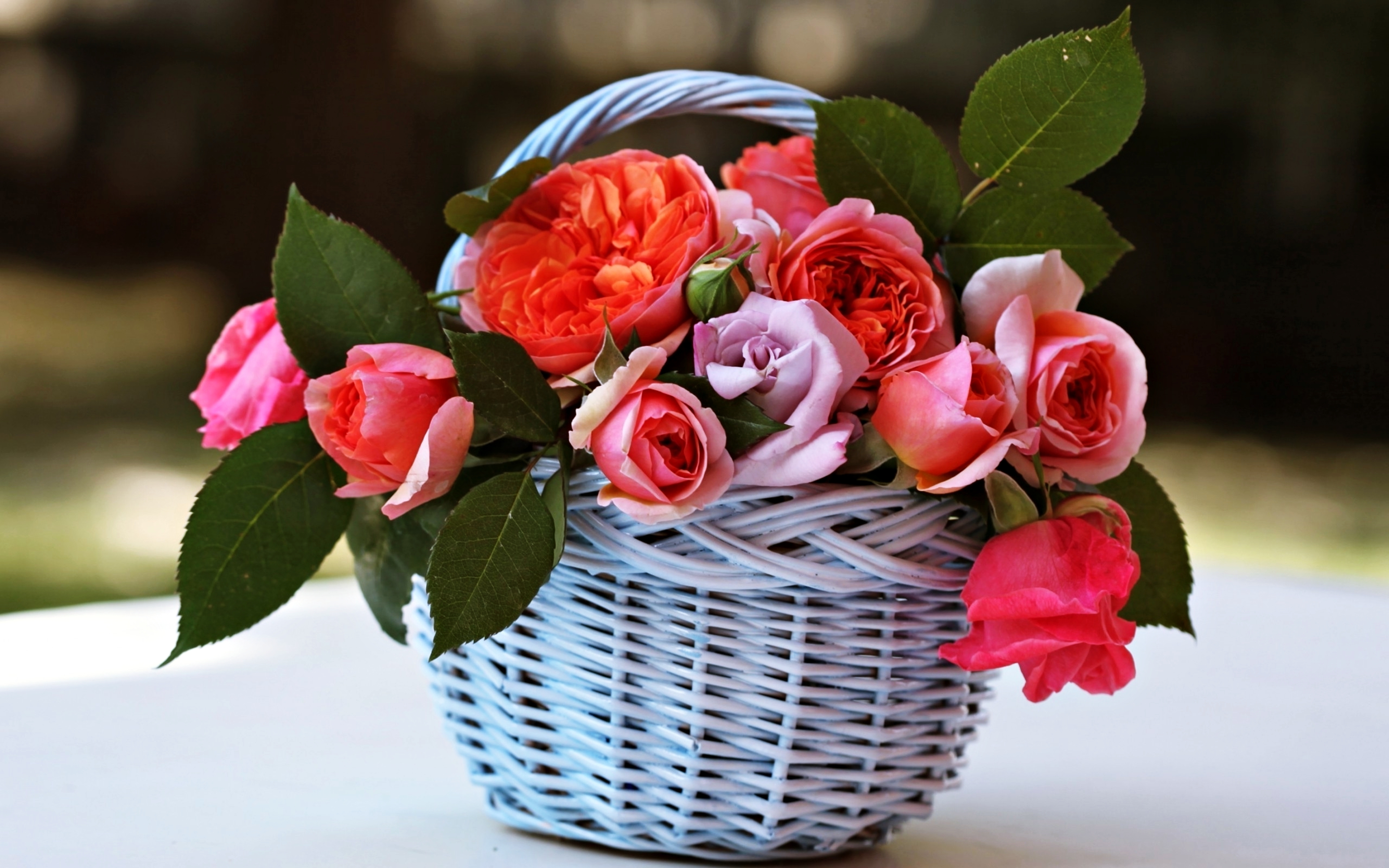man made, flower, basket, pink flower, rose Desktop home screen Wallpaper