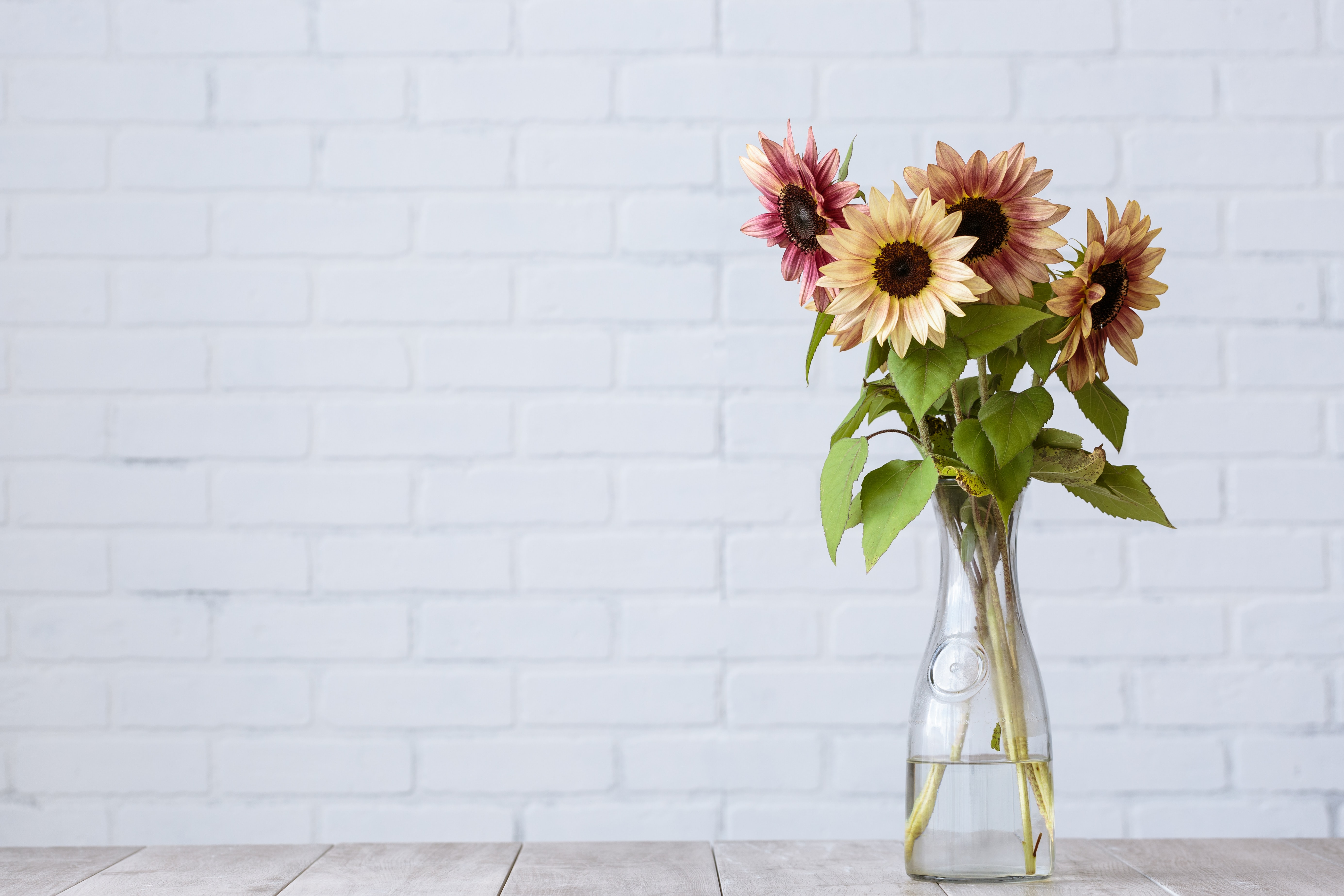 Handy-Wallpaper Sonnenblume, Blumen, Bouquet, Vase, Strauß kostenlos herunterladen.