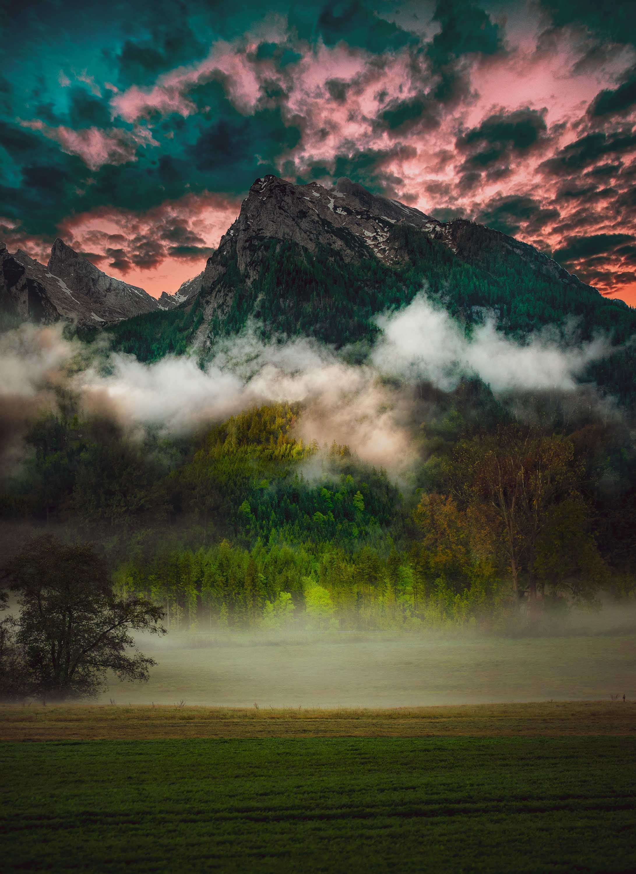 Download mobile wallpaper Forest, Grass, Clouds, Trees, Fog, Nature, Mountain for free.