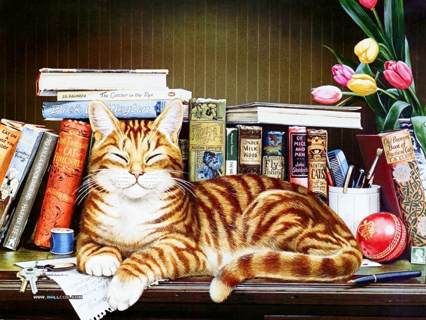 Кот с книгой рисунок