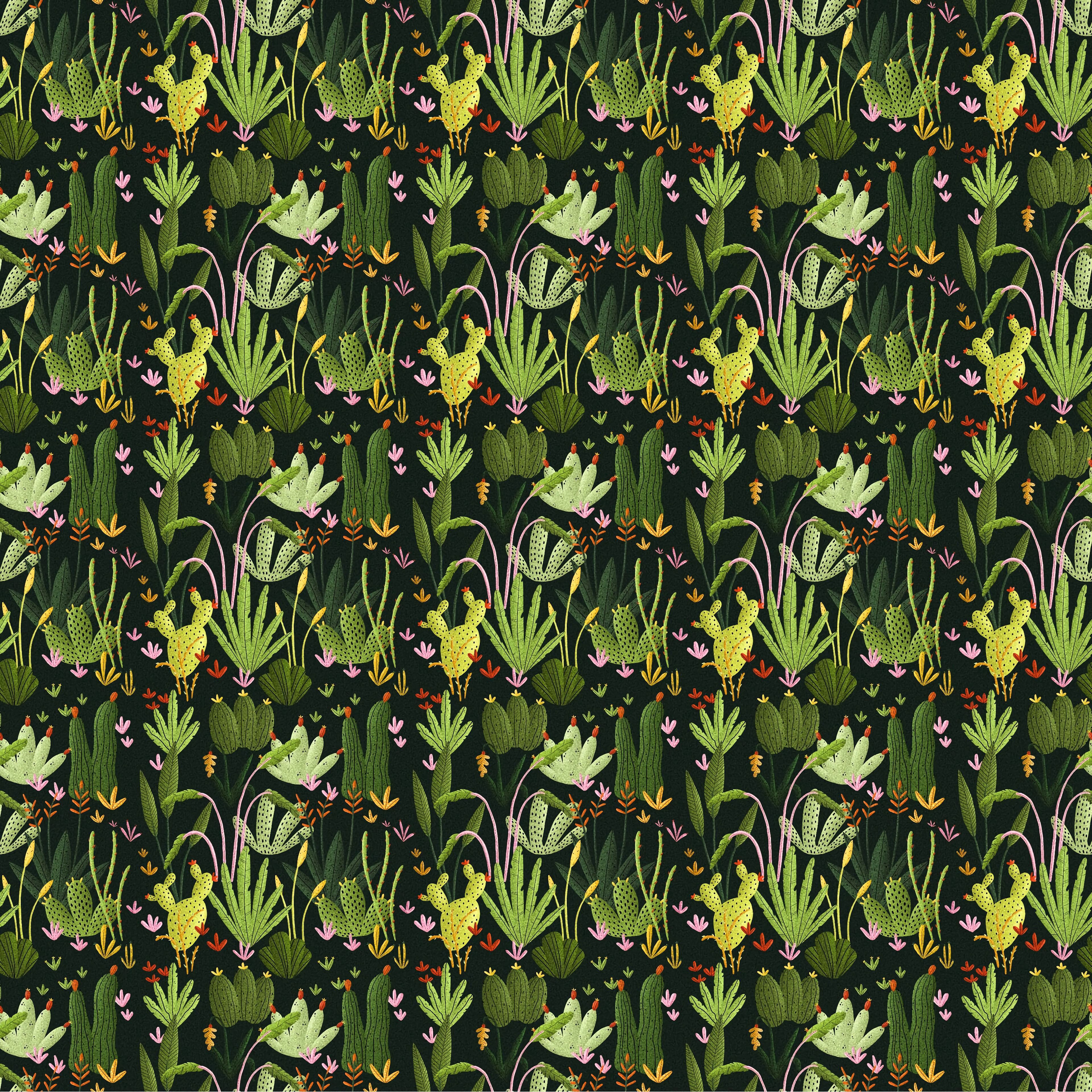 97821 baixar papel de parede plantas, cactus, padrão, textura, texturas - protetores de tela e imagens gratuitamente