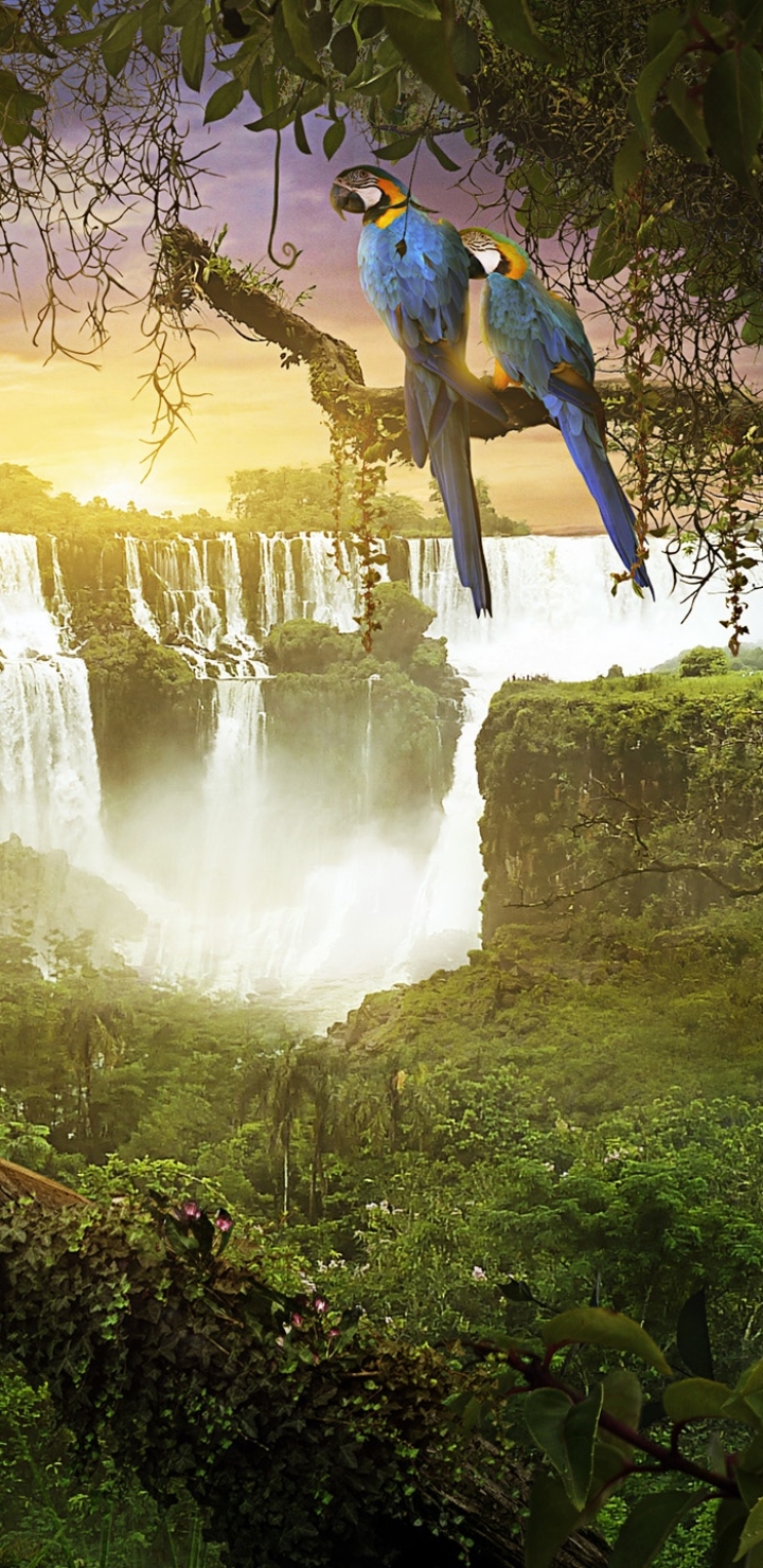Download mobile wallpaper Waterfall, Artistic, Jungle, Parrot, Desktopography for free.