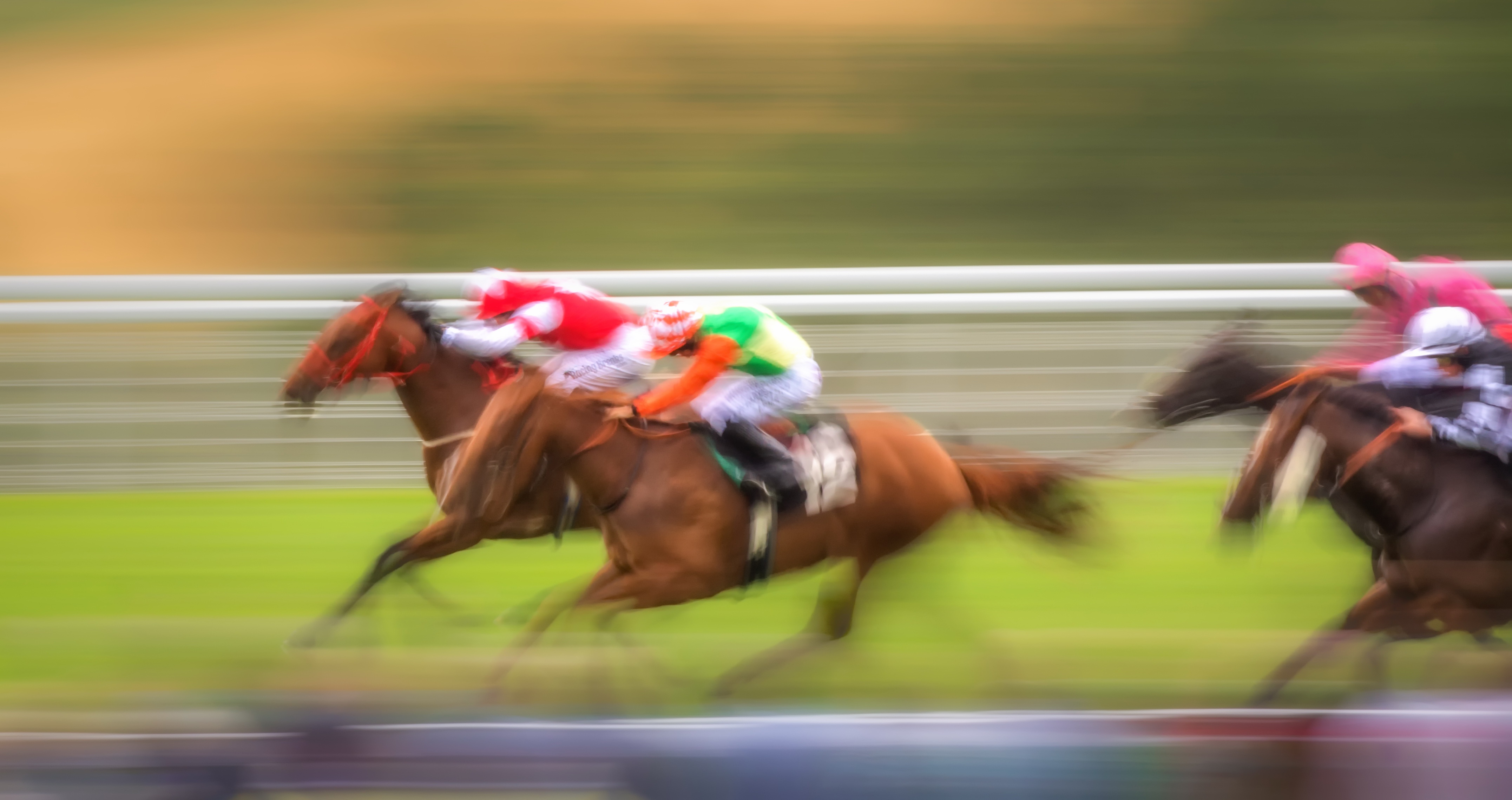 sports, horse racing, blur, racing images