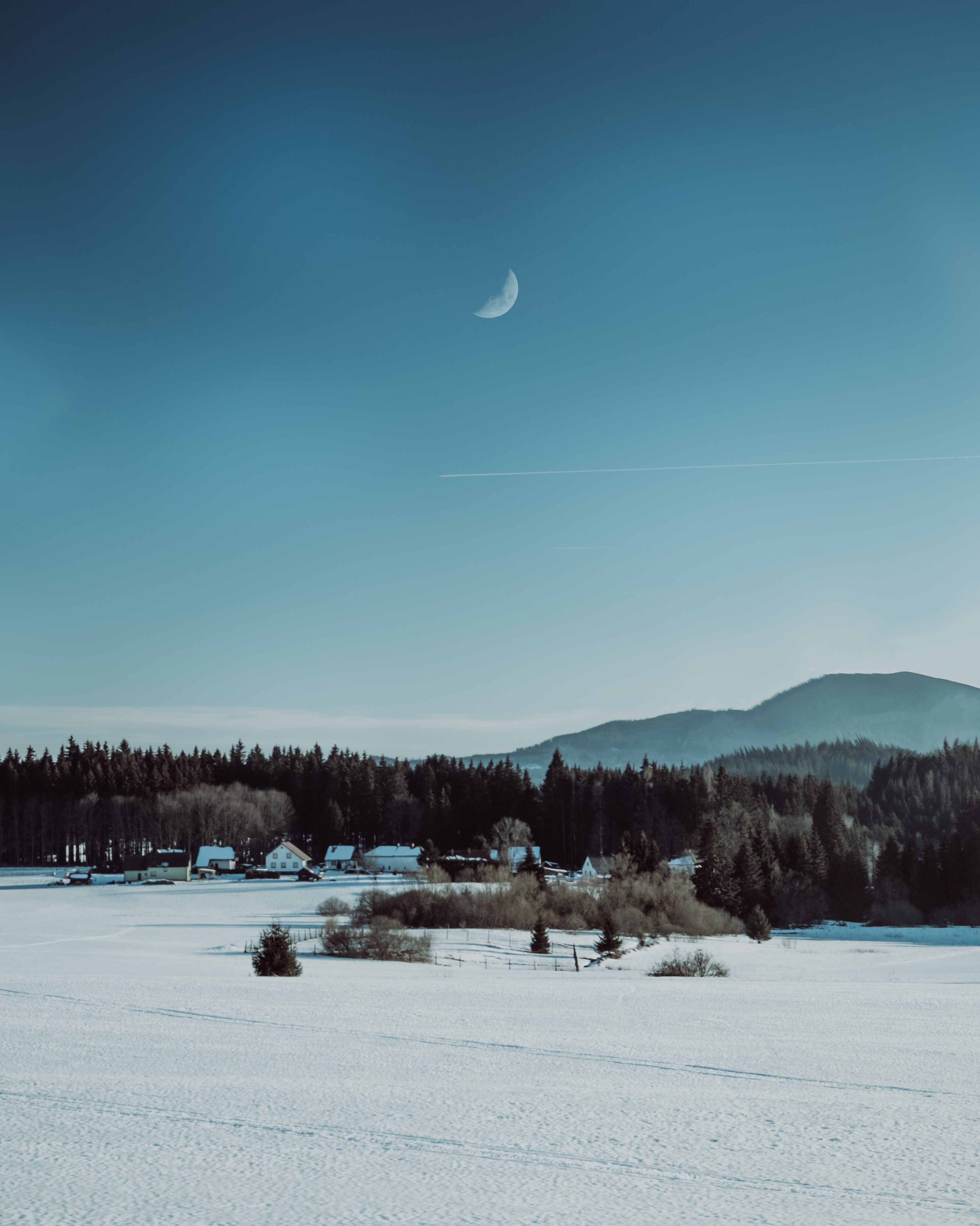 PCデスクトップに冬, 自然, 木, 雪, 村, 風景画像を無料でダウンロード