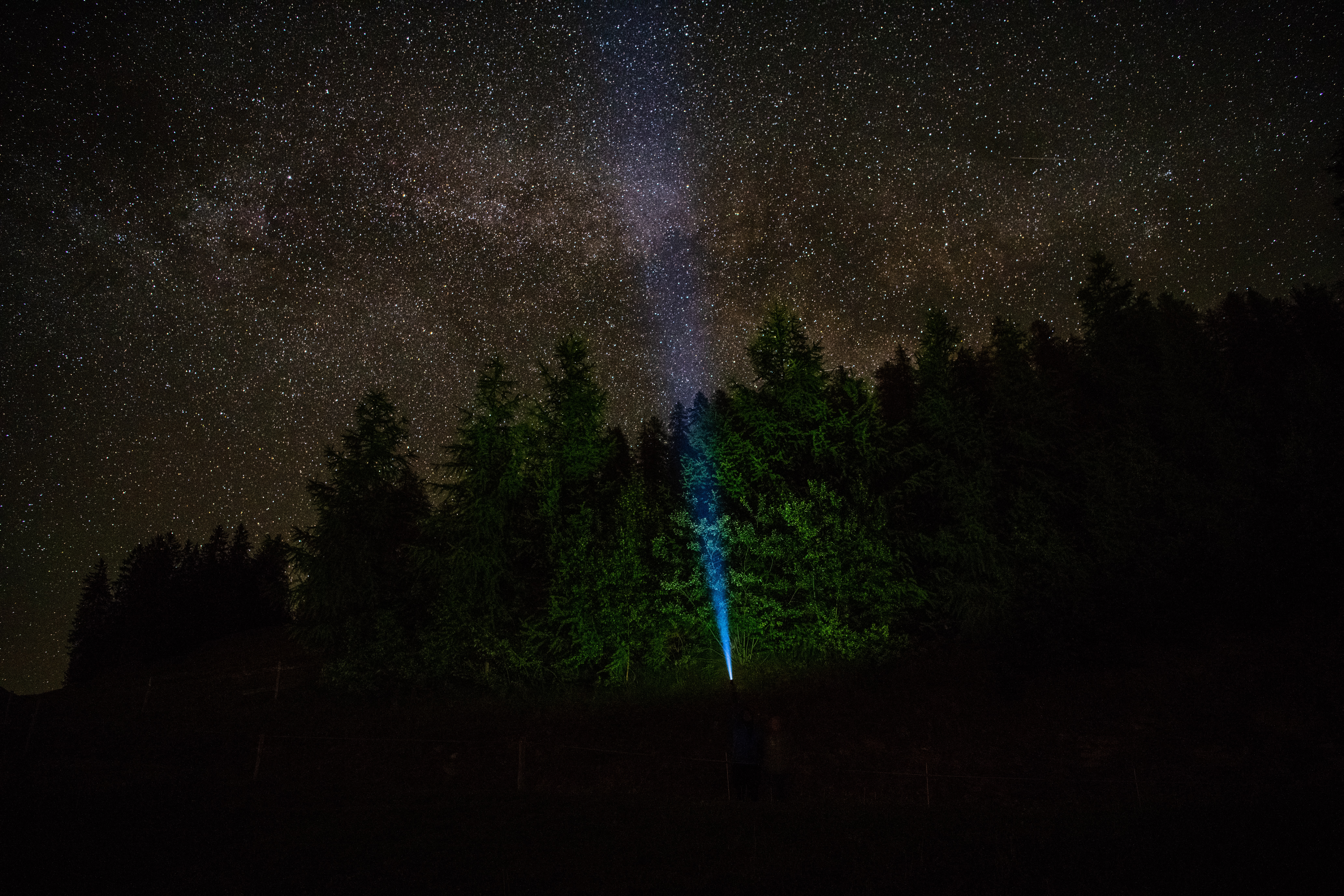 night, dark, forest, starry sky, glow, flashlight wallpapers for tablet