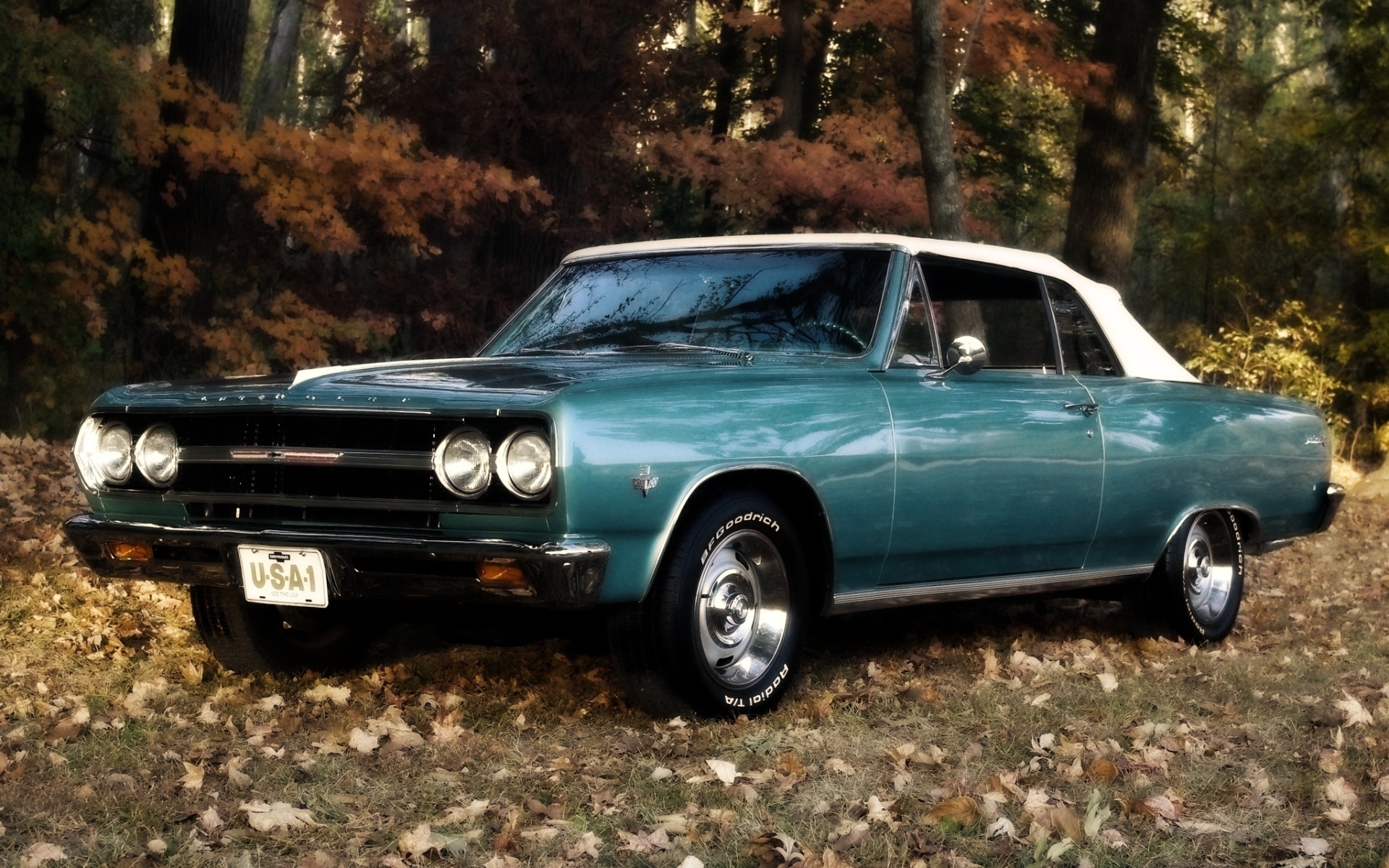 chevrolet malibu 1965