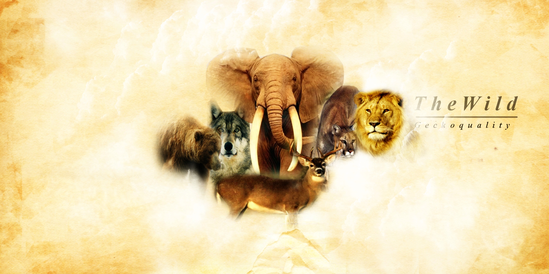 544012 Hintergrundbild herunterladen elefant, tiere, collage, bär, jaguar, hirsch, löwe, wolf - Bildschirmschoner und Bilder kostenlos