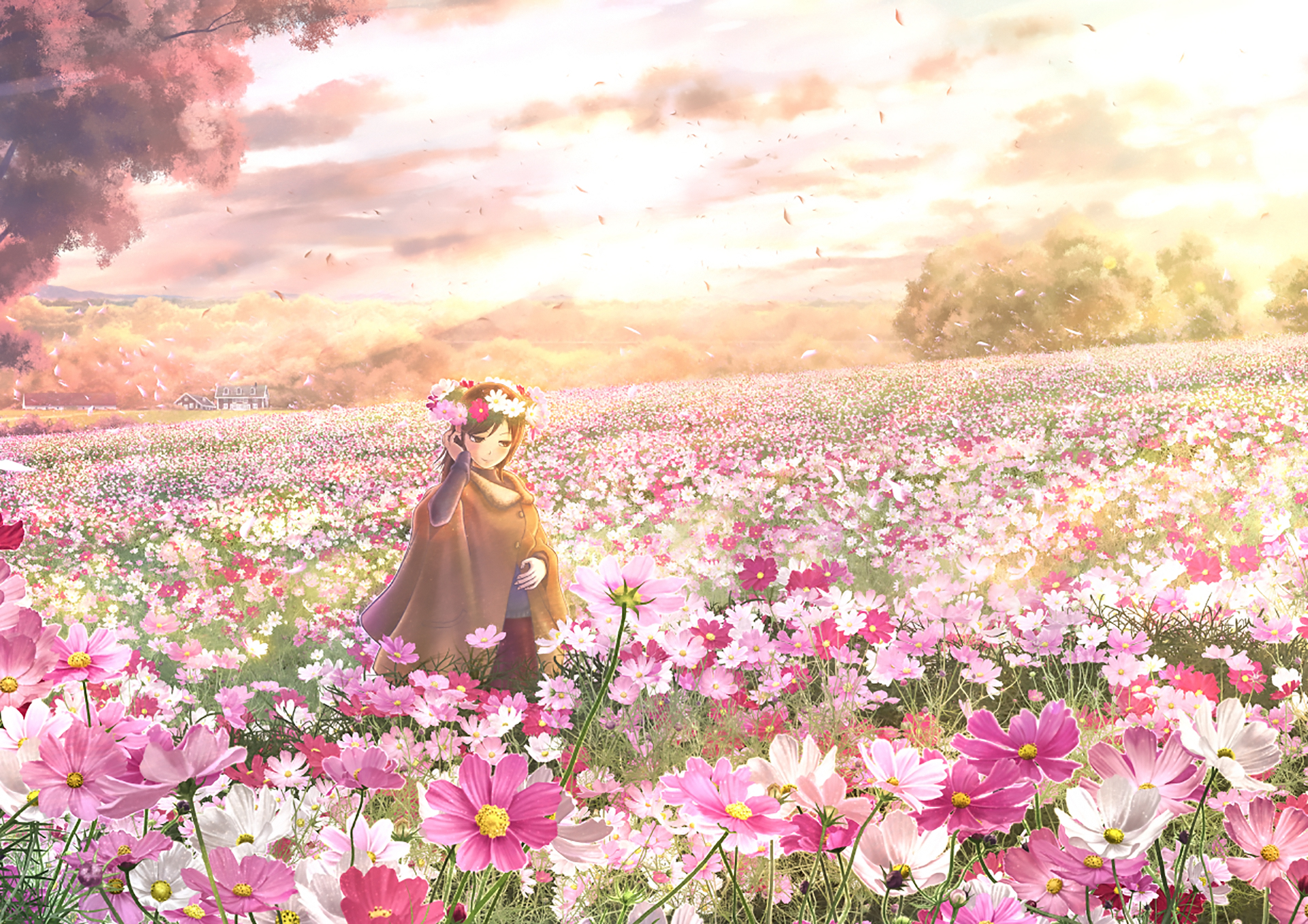 Сказочное Цветочное поле