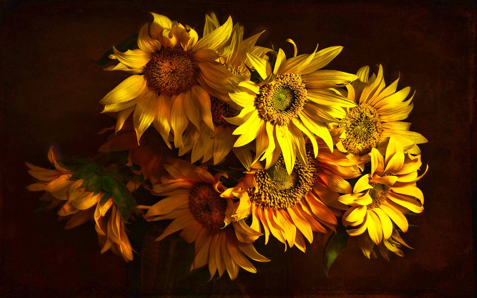 174522 免費下載壁紙 自然, 向日葵, 花卉 屏保和圖片