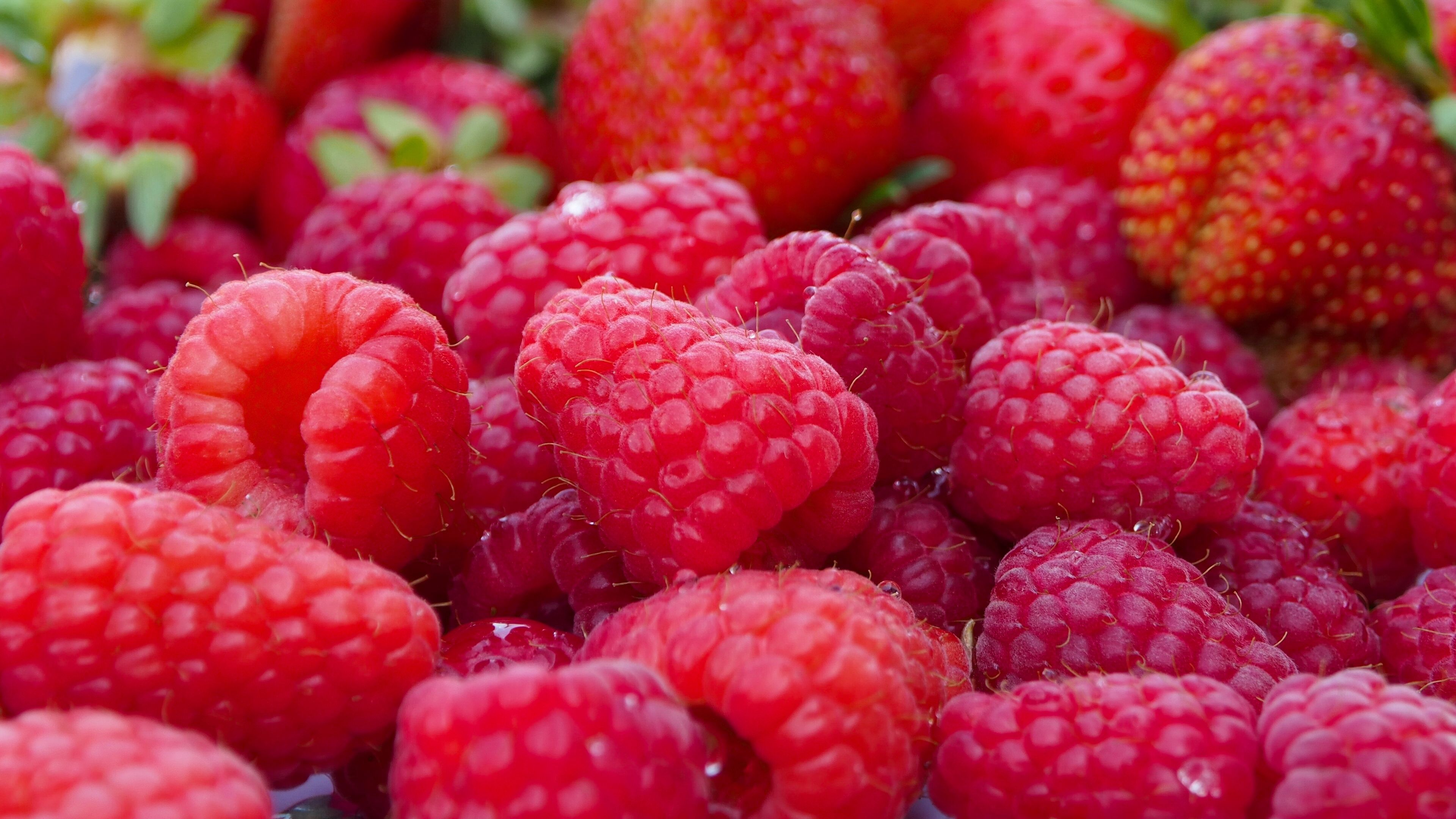 ripe, food, raspberry, berries, lots of, multitude Smartphone Background