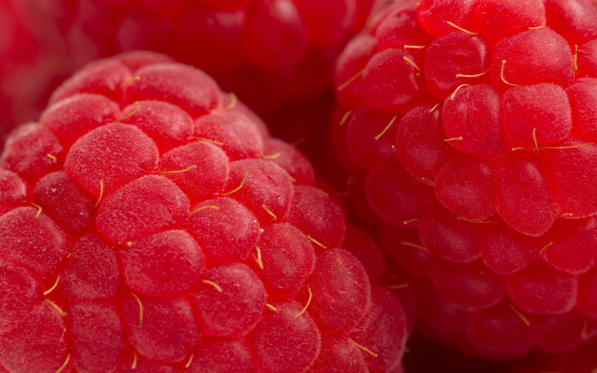 Download mobile wallpaper Raspberry, Berries, Background for free.