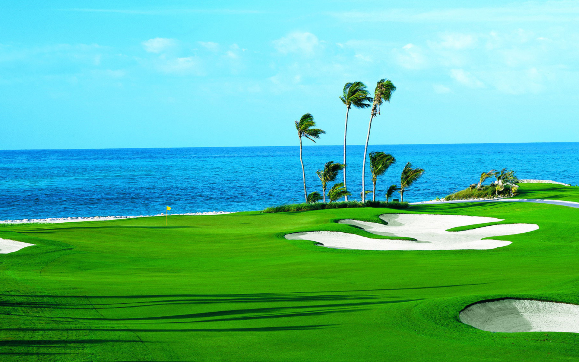 green, golf, golf course, man made, blue, horizon, ocean, palm tree, water