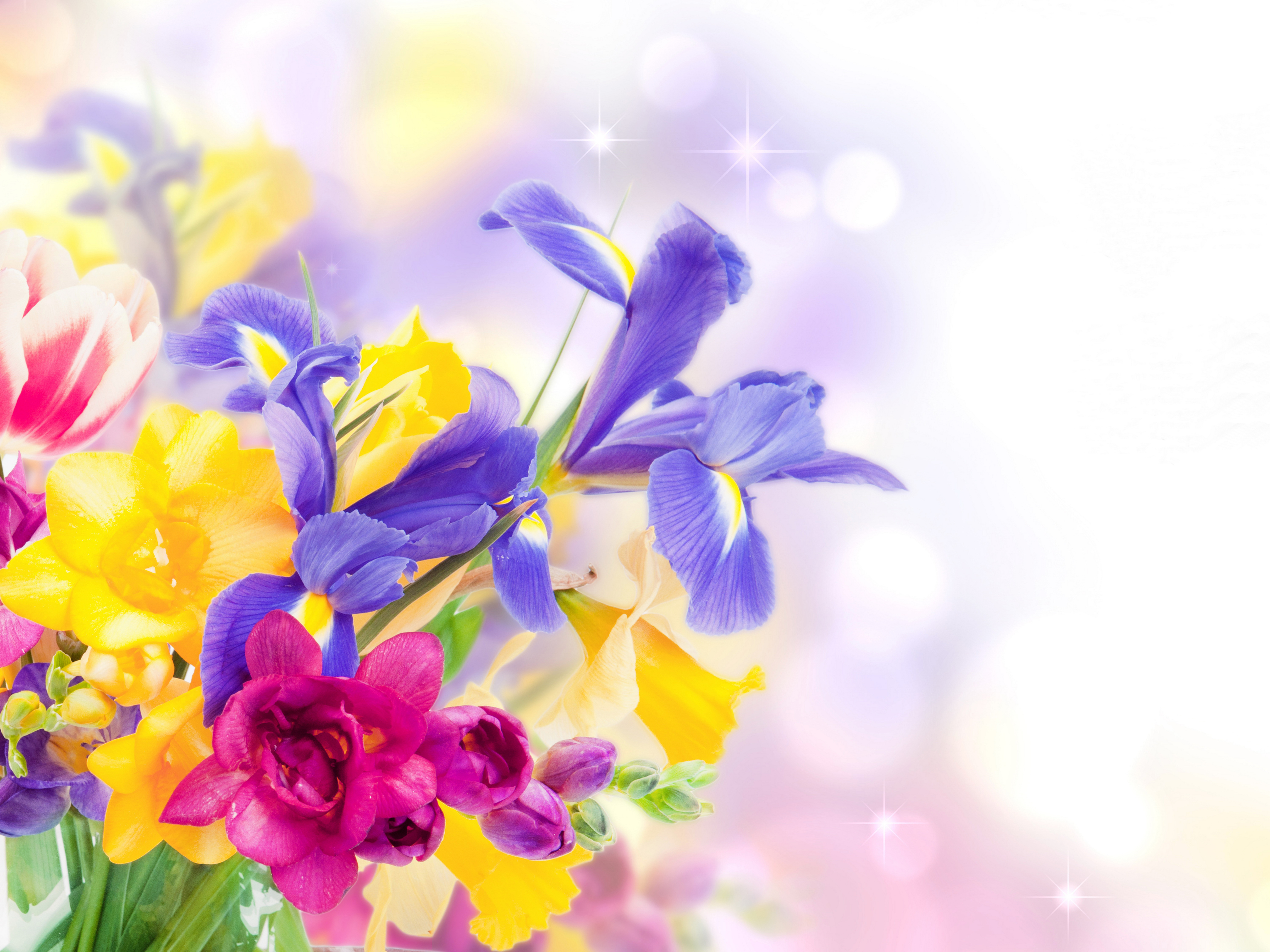 man made, iris, flower, blue flower, bouquet, pink flower, yellow flower