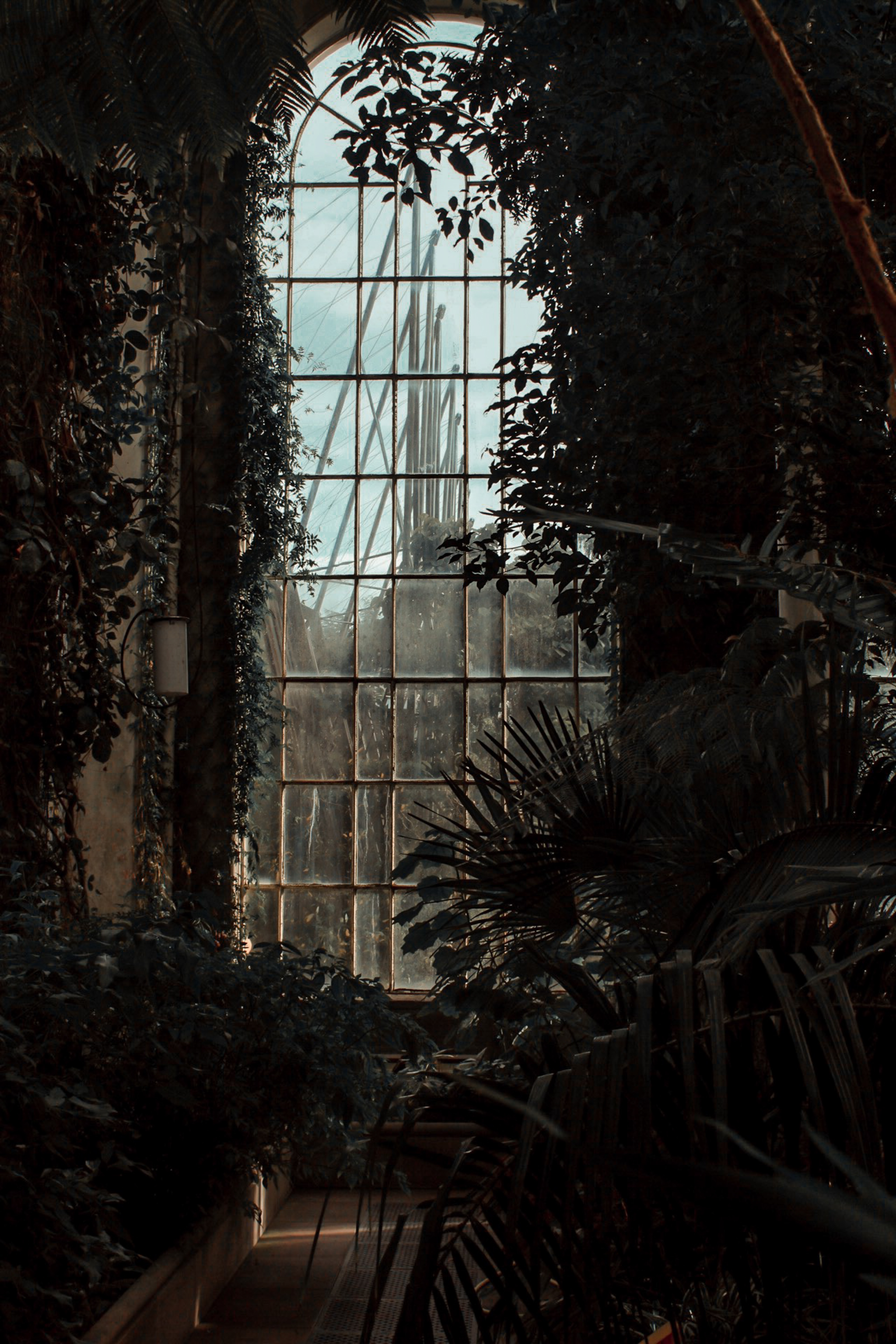 Greenhouse Tablet HD picture