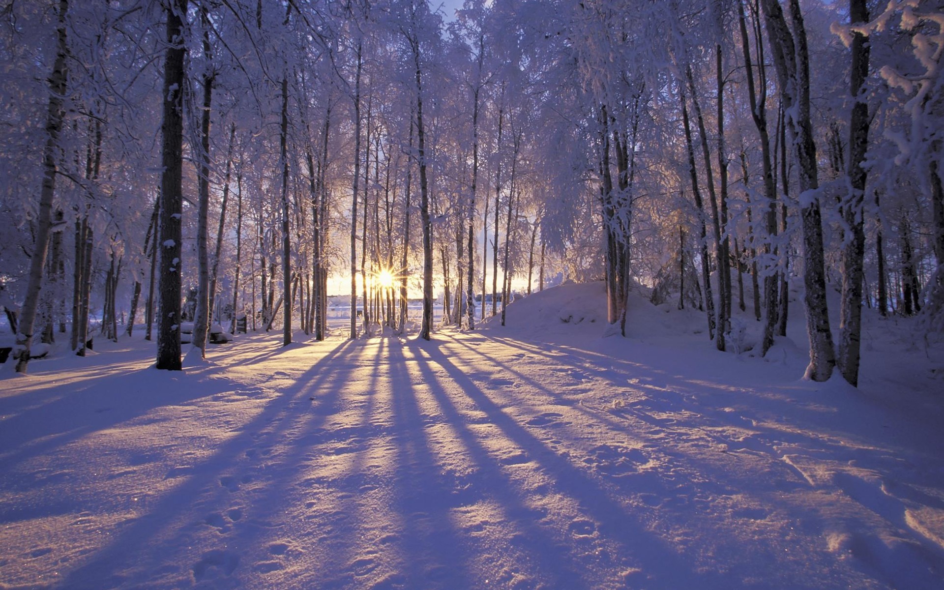 winter, landscape, snow, blue Full HD