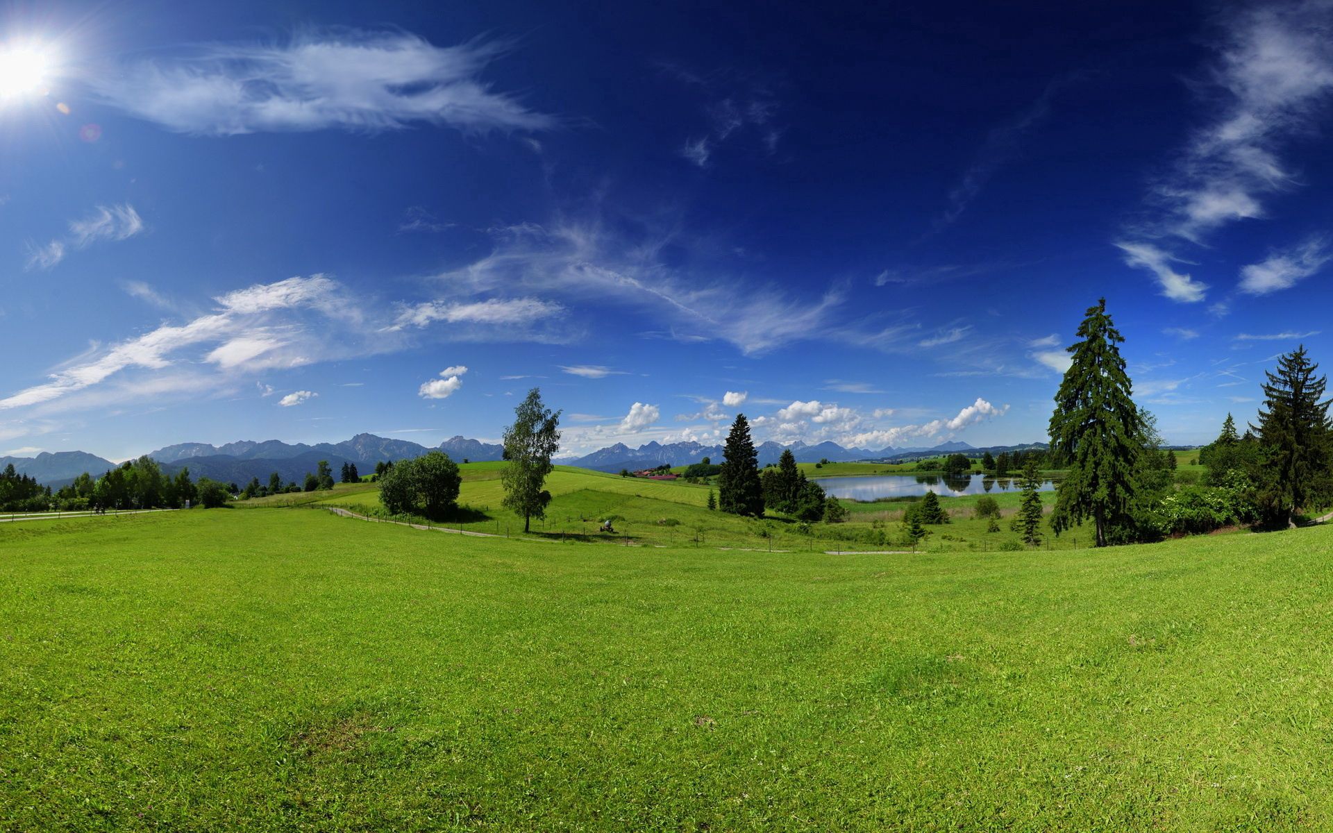 wallpapers summer, sky, plain, nature, trees, green, meadow, sunny, heat, warmth