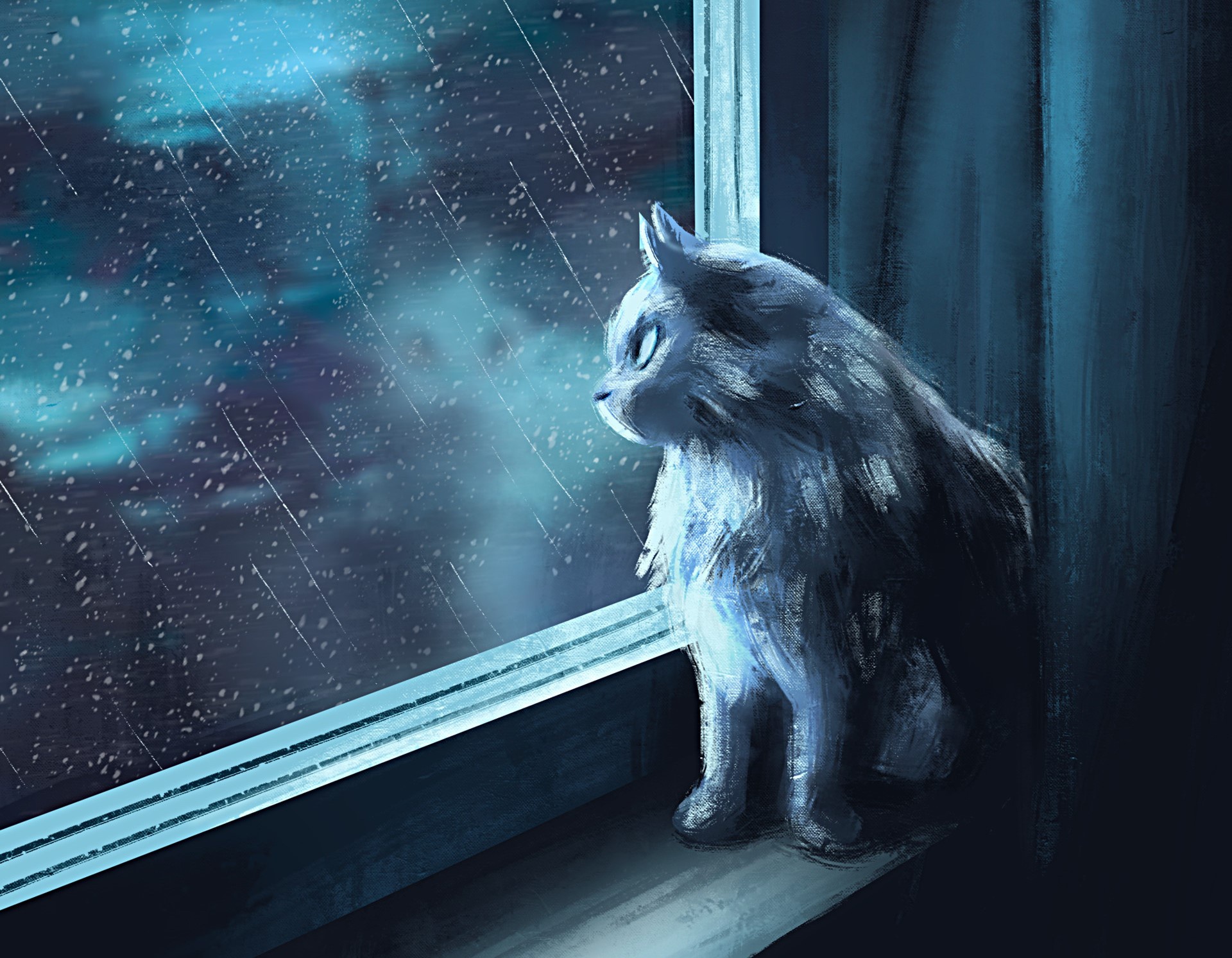 Грустный кот у окна