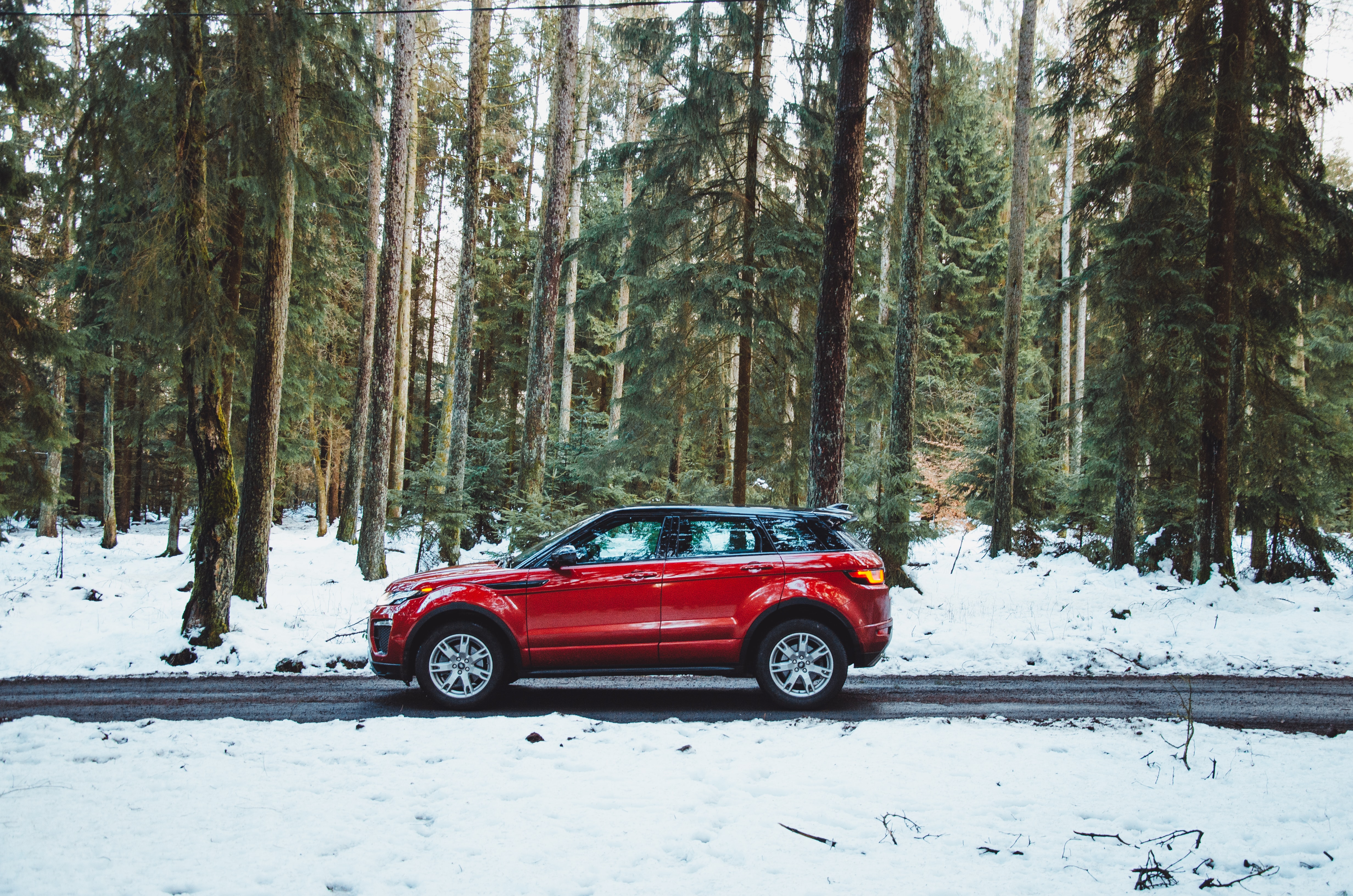 149654 免費下載壁紙 汽车, 红色, 路, 森林, 红色的, 车, 侧面图, 从一个视图到另一个, 雪覆盖, 白雪覆盖 屏保和圖片