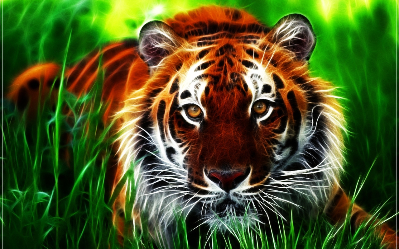 tigers, animals, art photo 4K