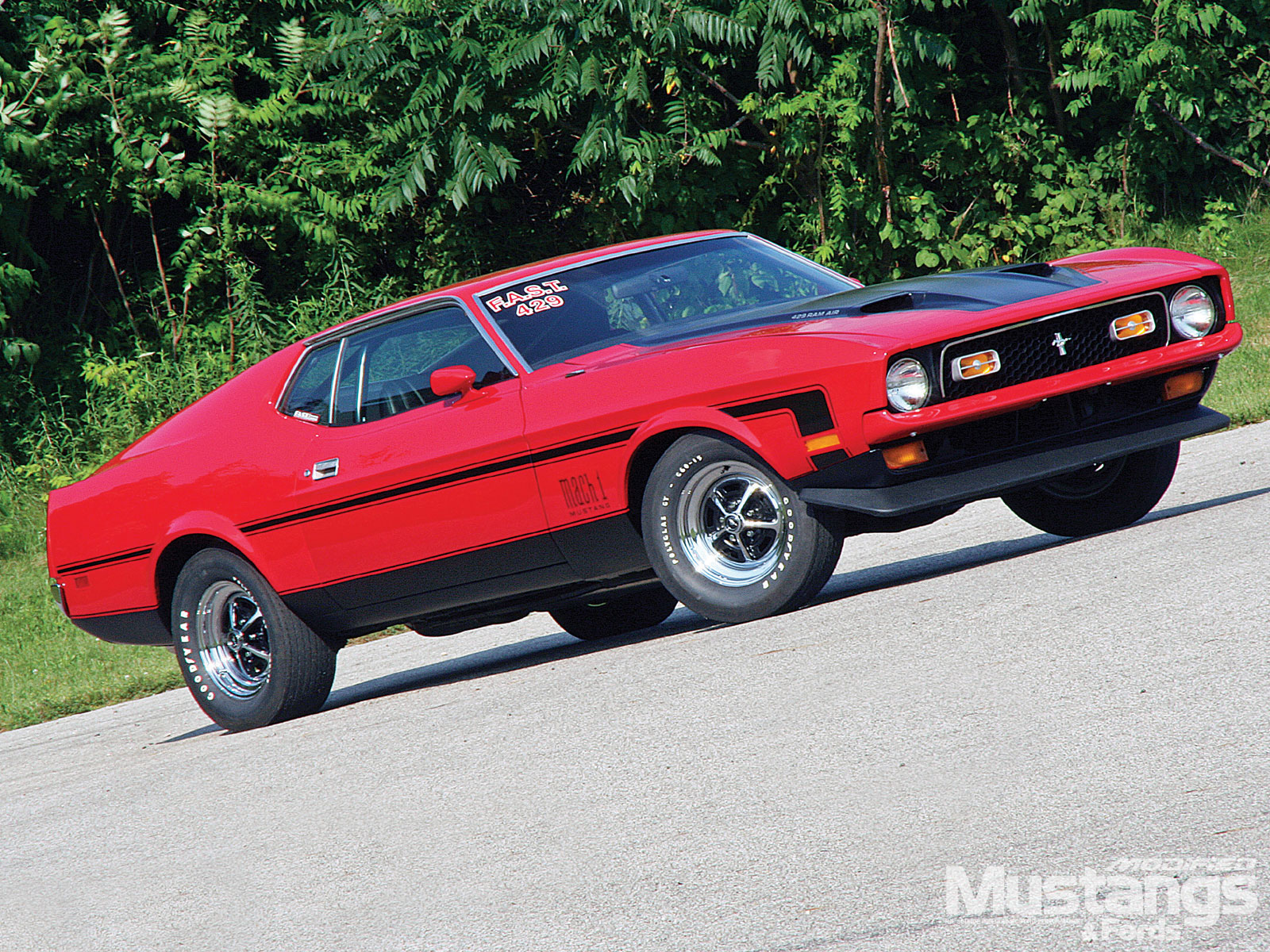 vehicles, ford mustang mach 1, classic car, fastback, ford, muscle car