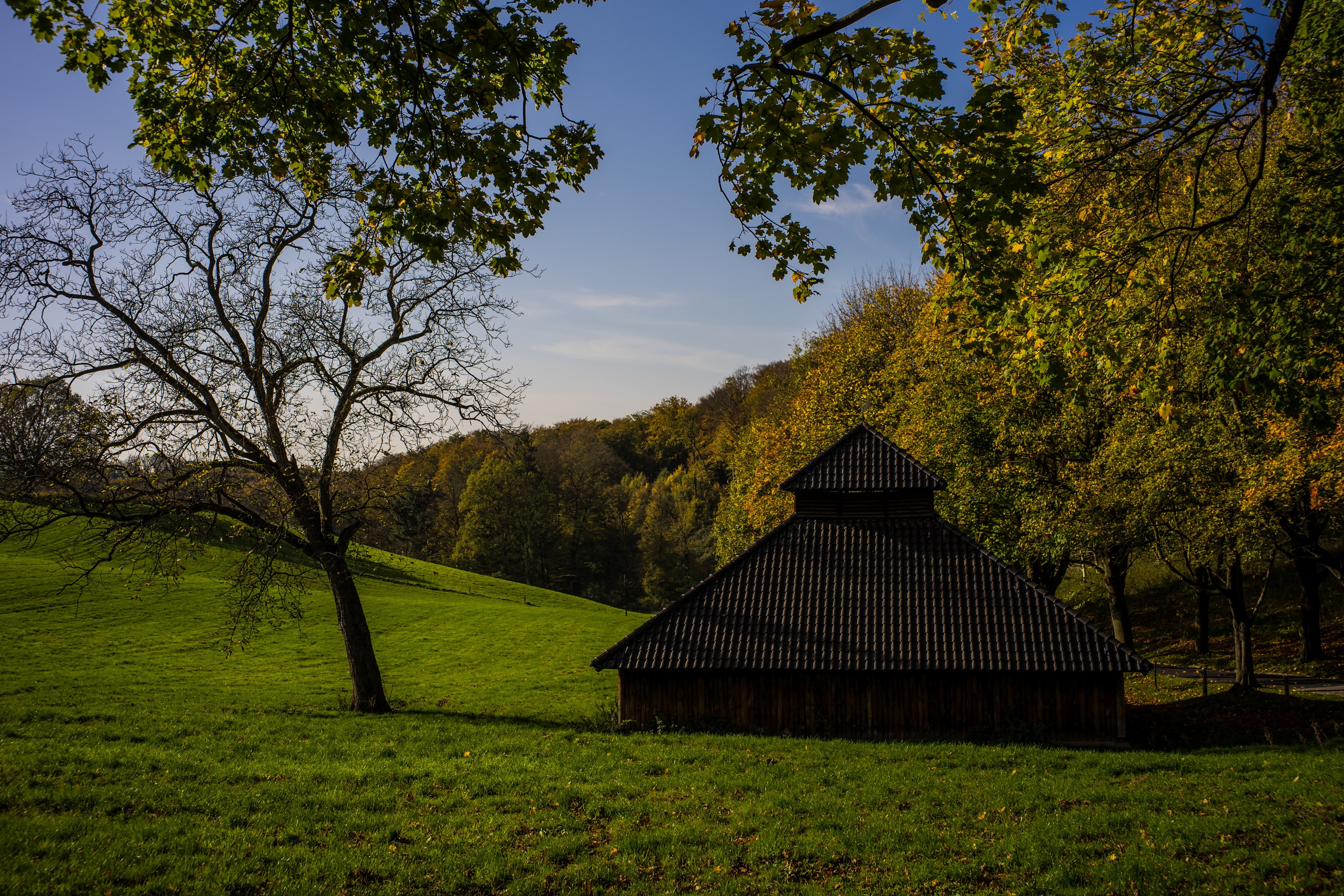 Download mobile wallpaper Landscape, Tree, Fall, Lodge, Germany, Photography, North Rhine Westphalia for free.