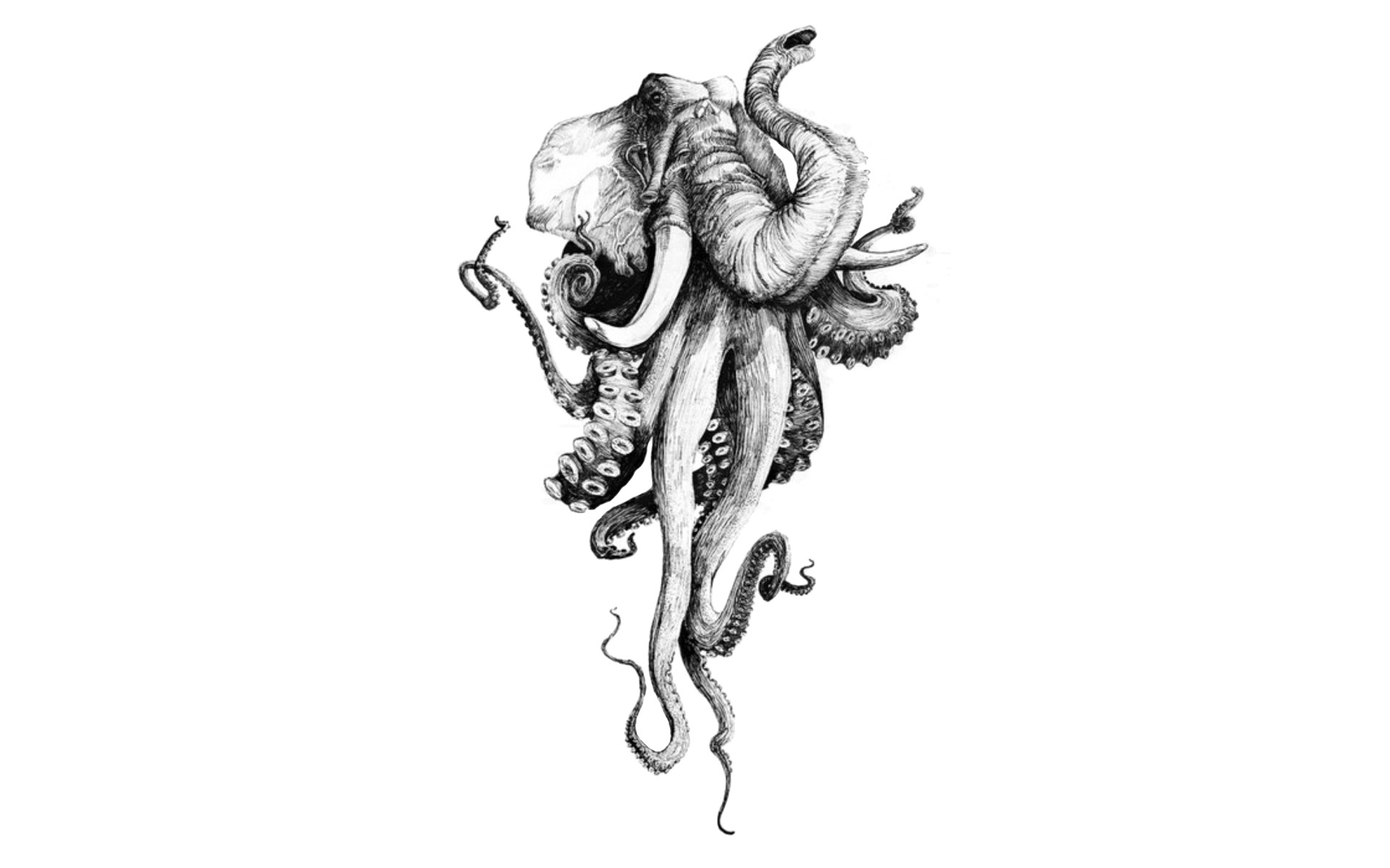 Majestic Depths Stunning 4K Deep Blue Ocean Octopus Wallpaper for Phone  Free Download