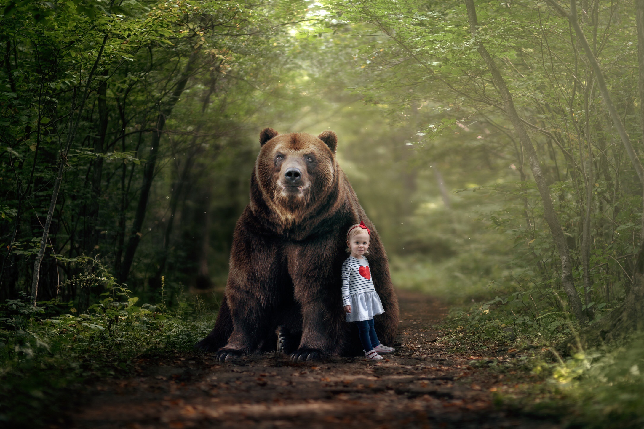 Фотография медведя в лесу