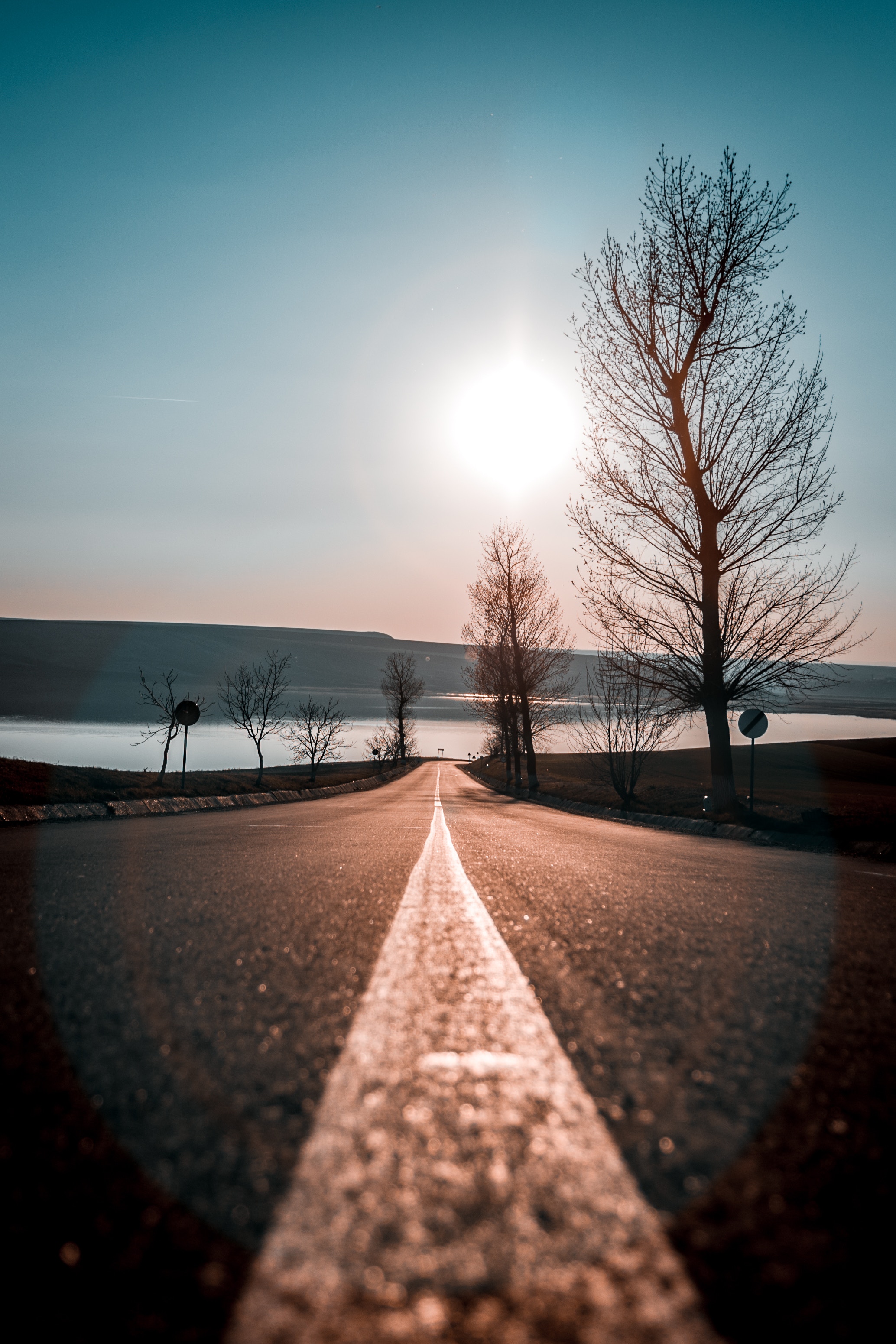 direction, sunset, nature, trees, sky, road