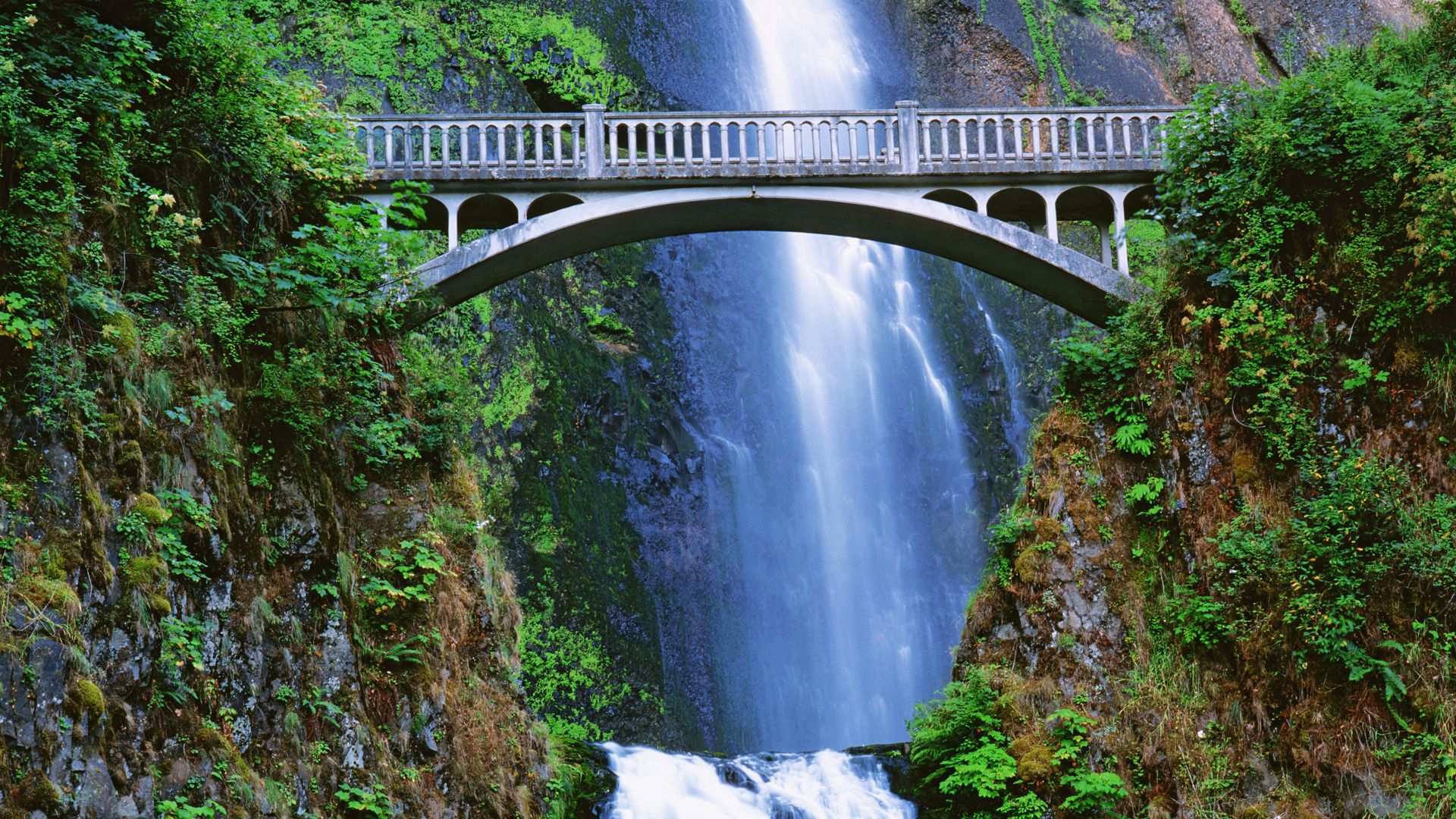 nature, landscape, leaves, rocks, waterfall, vegetation, bridge, humidity cellphone