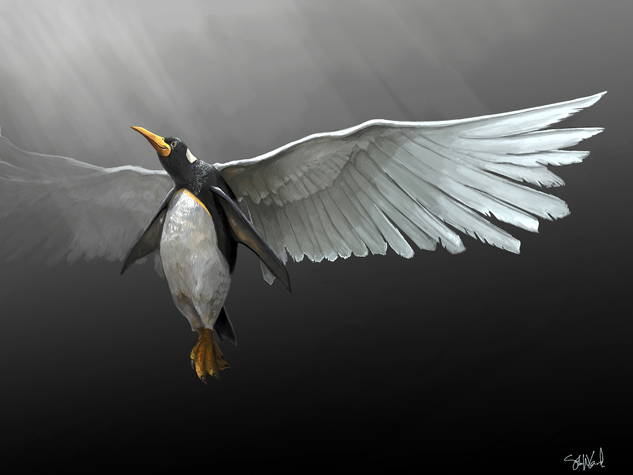 penguin, animal, artistic, wings
