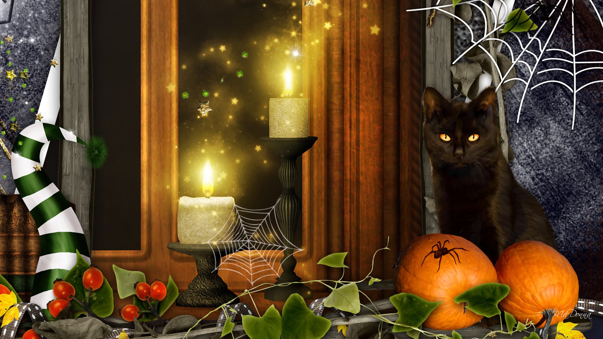 775422 скачать обои кот, праздничные, хэллоуин, свеча, коллаж, тыква, паутина - заставки и картинки бесплатно