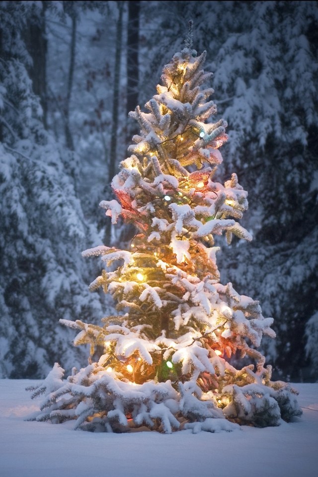 無料モバイル壁紙冬, 雪, クリスマス, クリスマスツリー, ホリデー, クリスマスのあかりをダウンロードします。