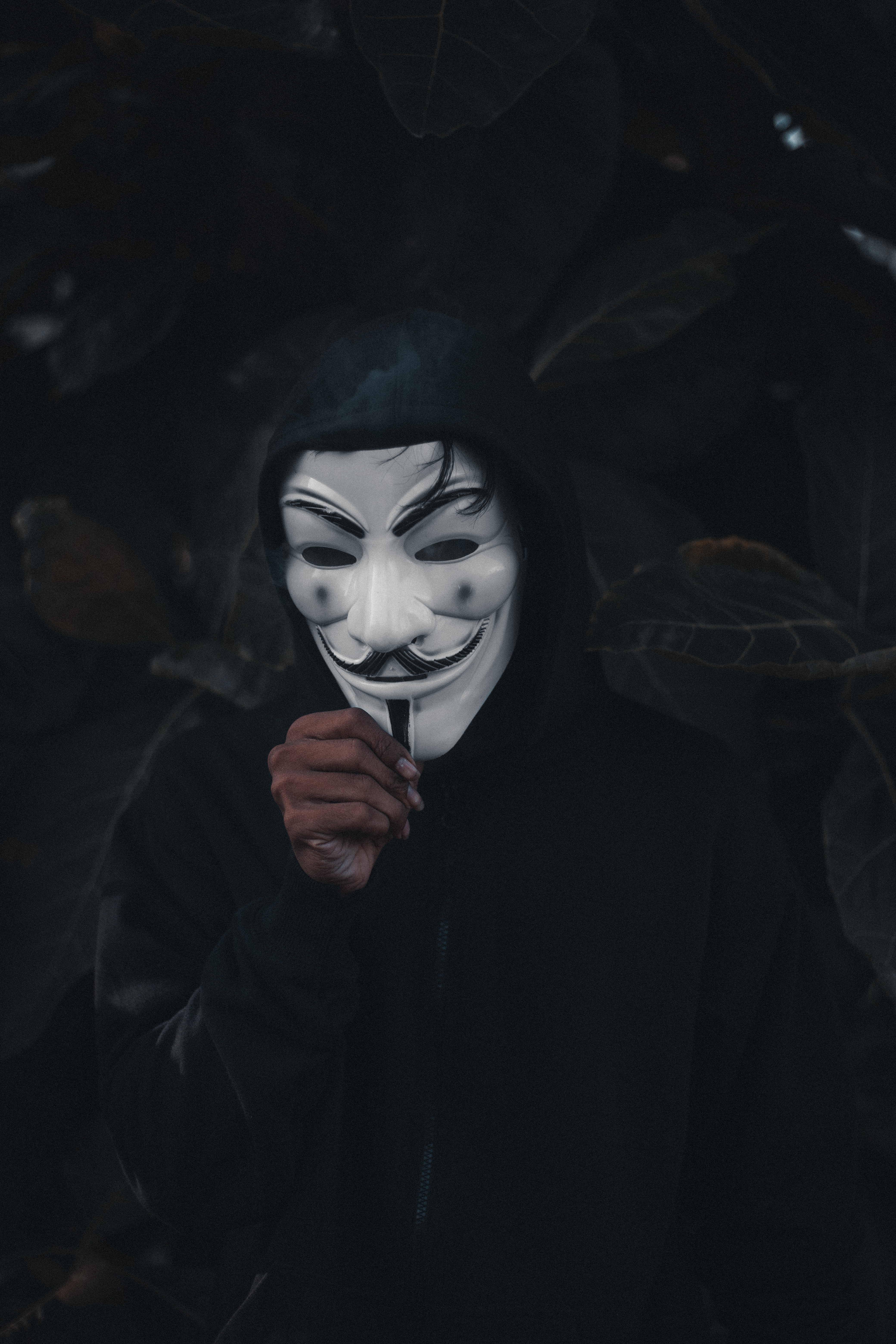 Download mobile wallpaper Miscellanea, Miscellaneous, Person, Human, Mask, Anonymous for free.