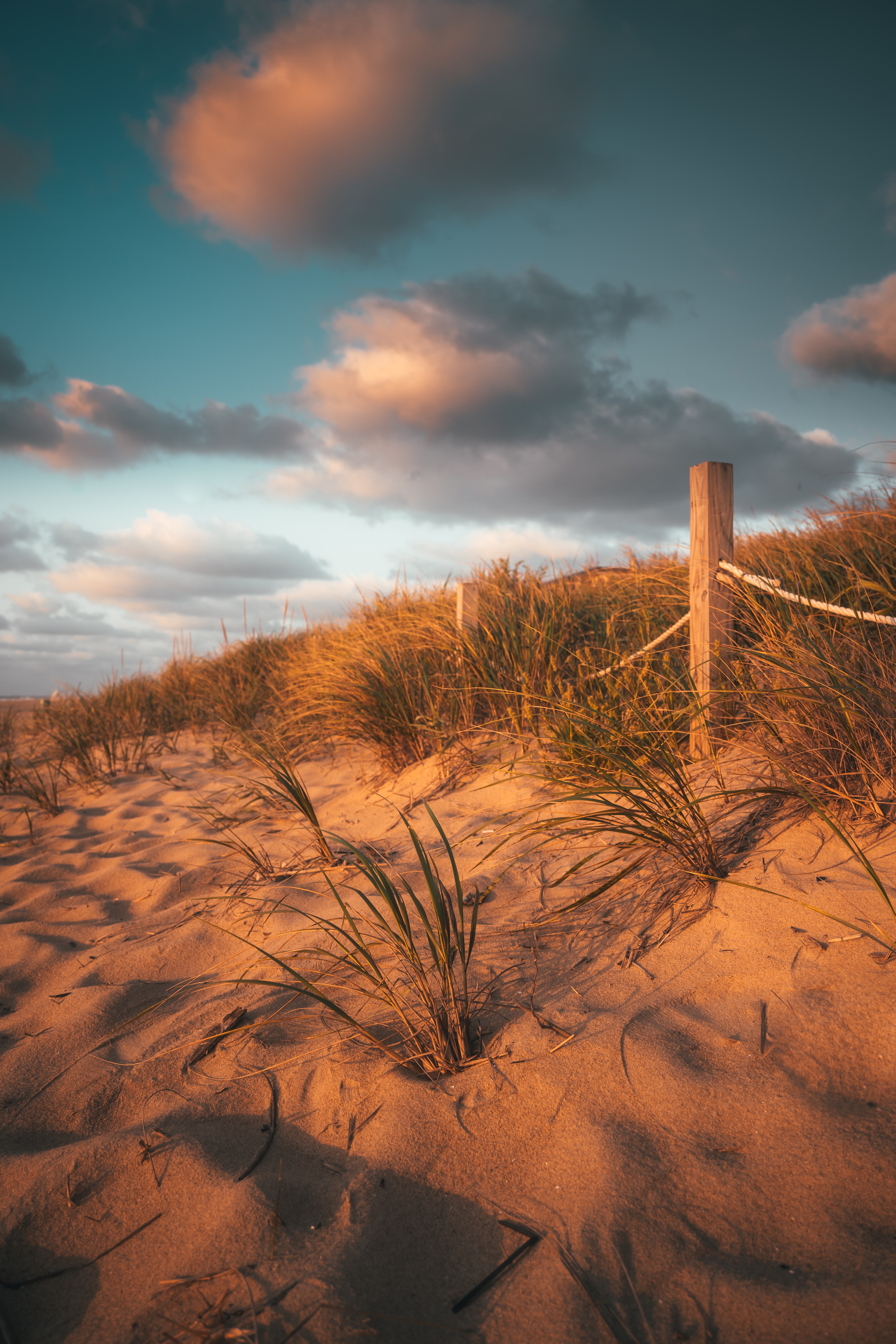 Download mobile wallpaper Grass, Fence, Sand, Nature, Beach for free.