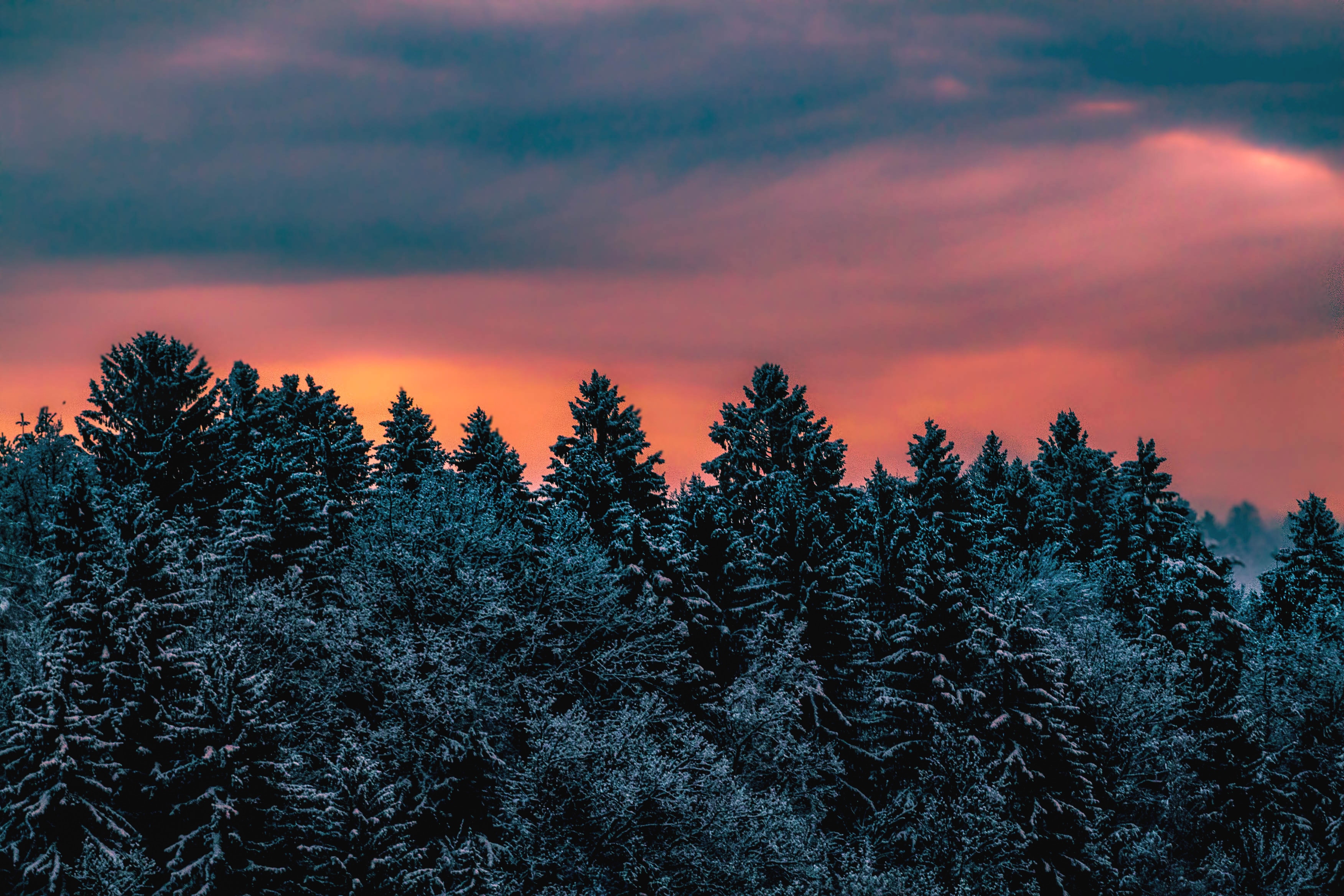 87019 télécharger l'image hiver, nature, arbres, sky, couvert de neige, snowbound, slovénie - fonds d'écran et économiseurs d'écran gratuits