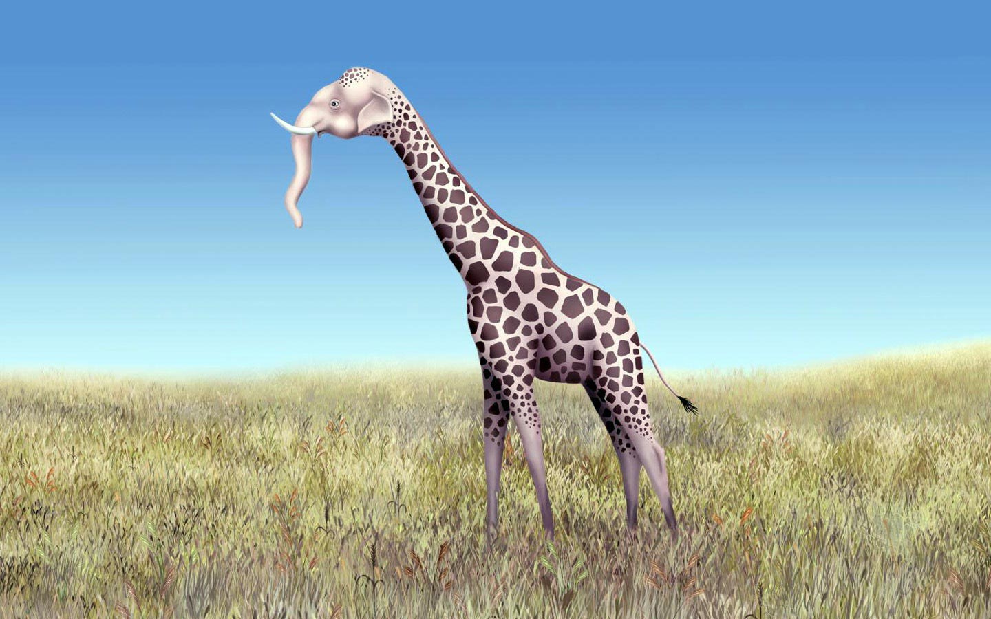 650414 скачать картинку жираф, юмор, животное - обои и заставки бесплатно