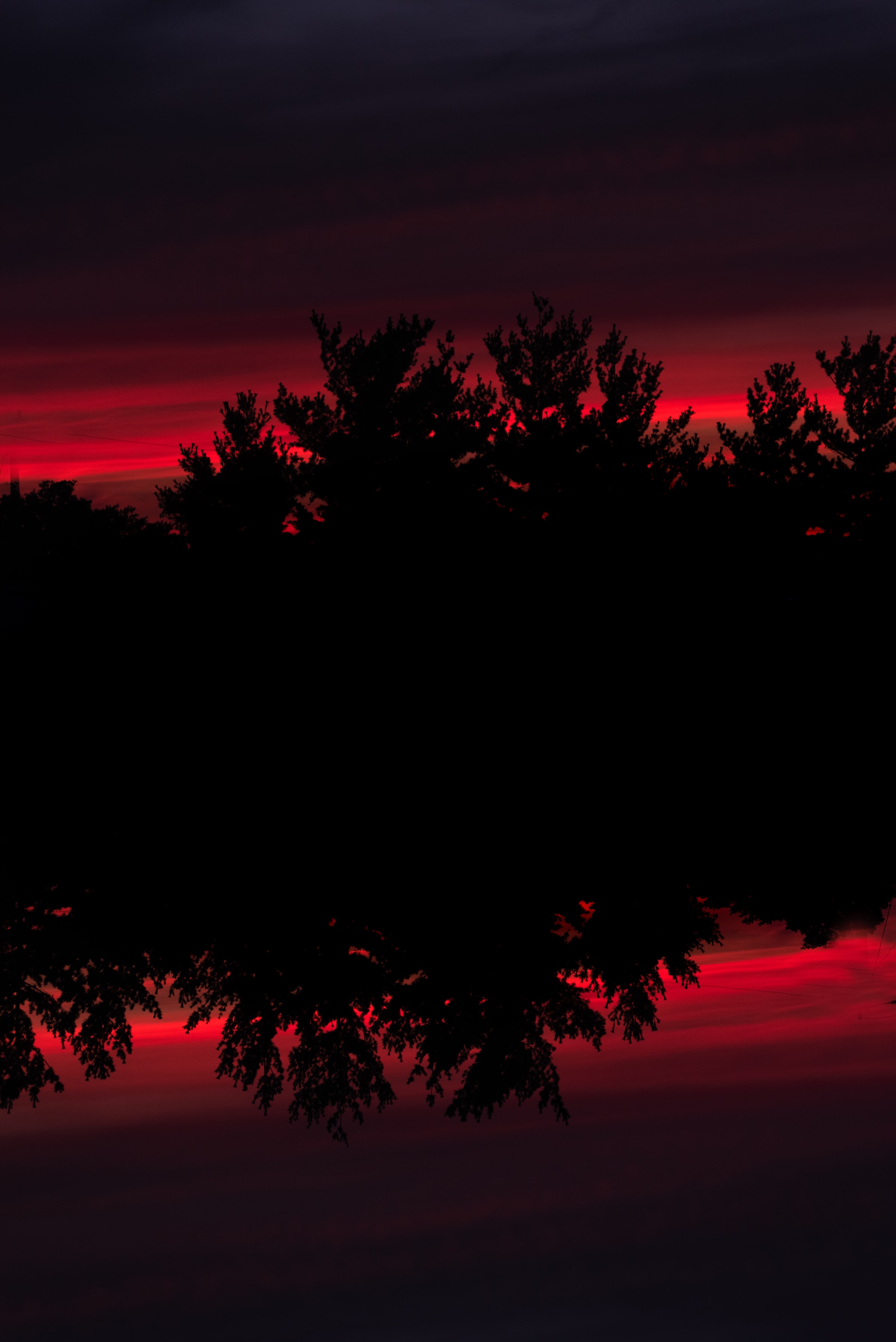 Download mobile wallpaper Reflection, Bush, Sunset, Nature, Silhouette for free.