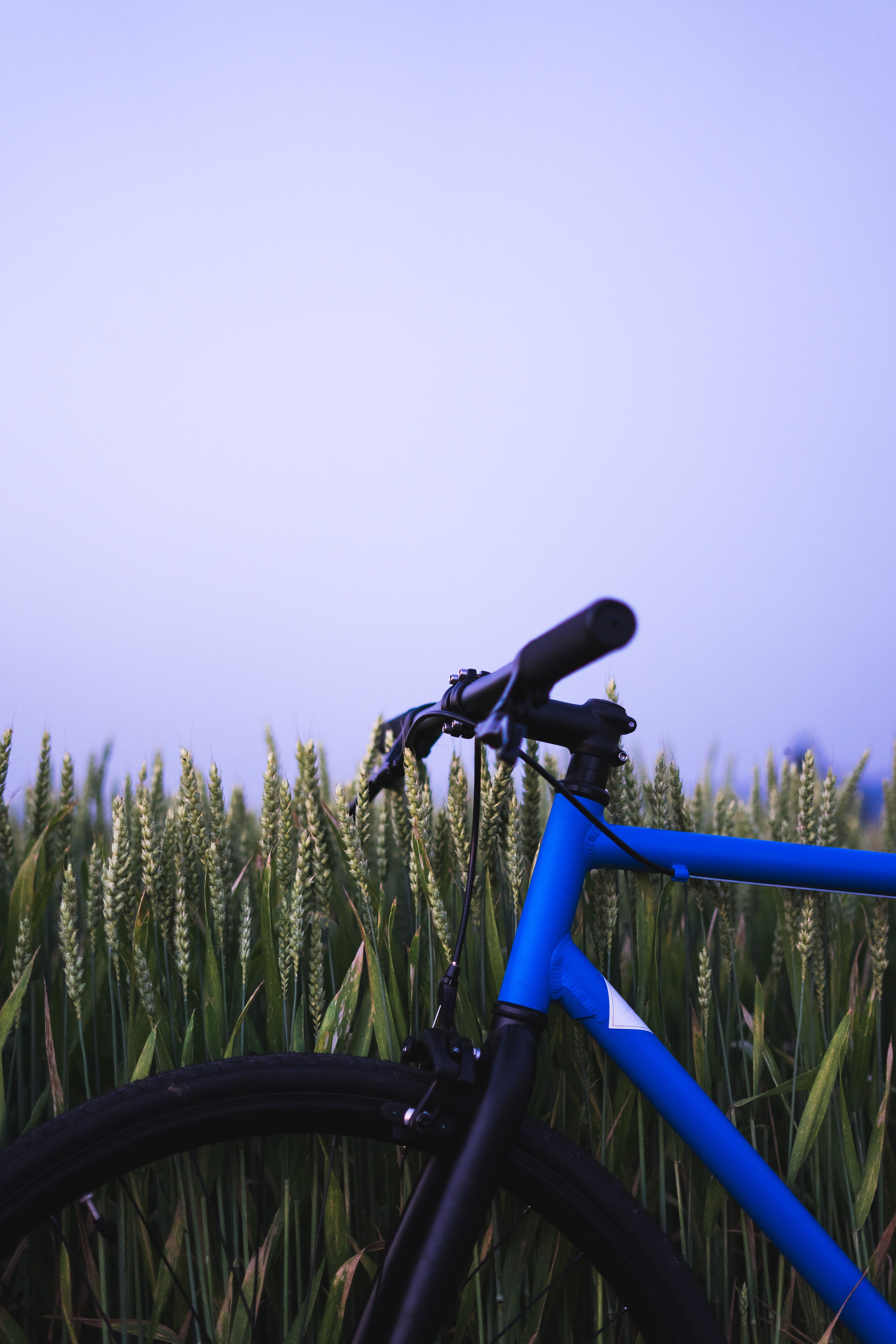 HD wallpaper steering wheel, sky, miscellanea, miscellaneous, ears, rudder, bicycle, spikes