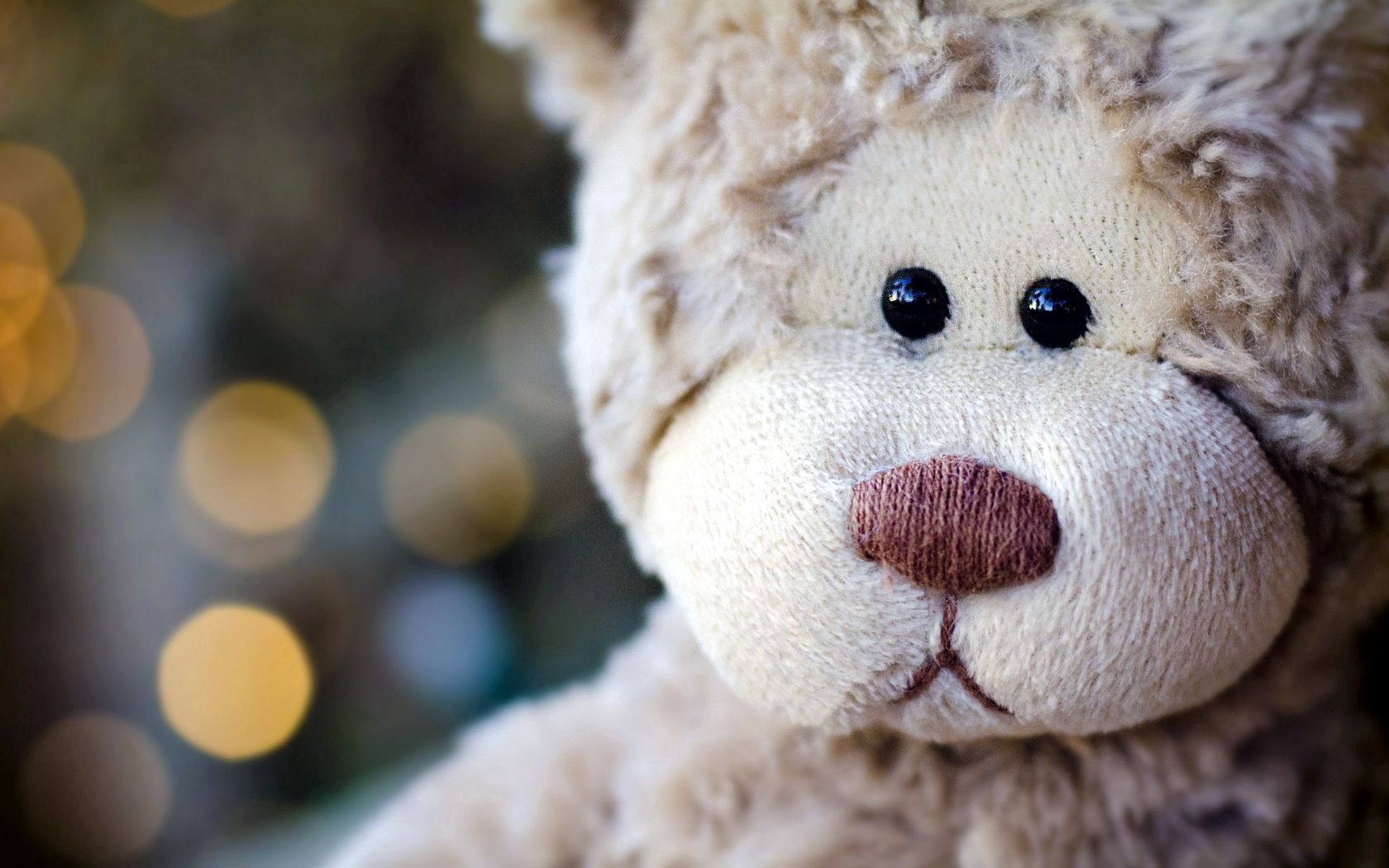 teddy bear, glare, miscellanea, miscellaneous, muzzle, toy, head