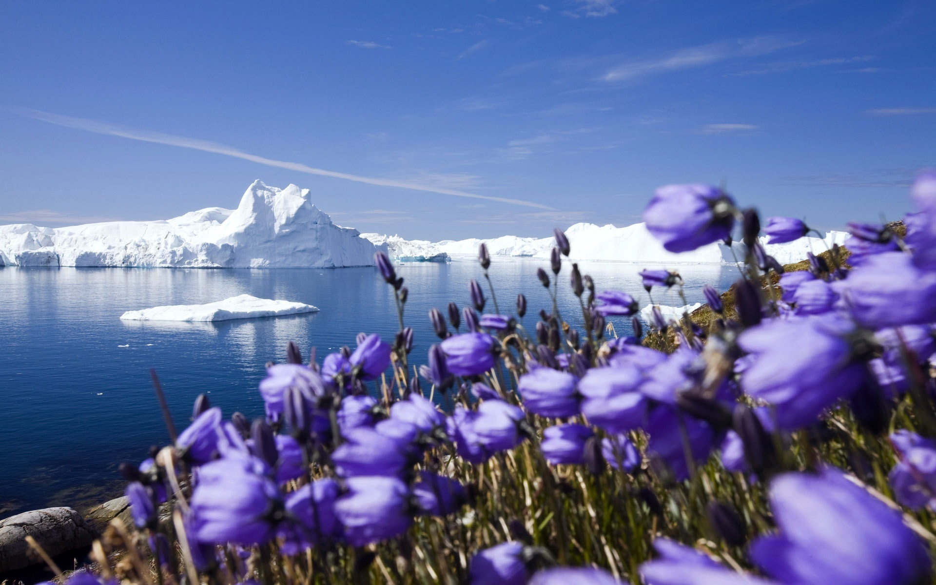 35478 télécharger l'image paysage, icebergs, bleu - fonds d'écran et économiseurs d'écran gratuits