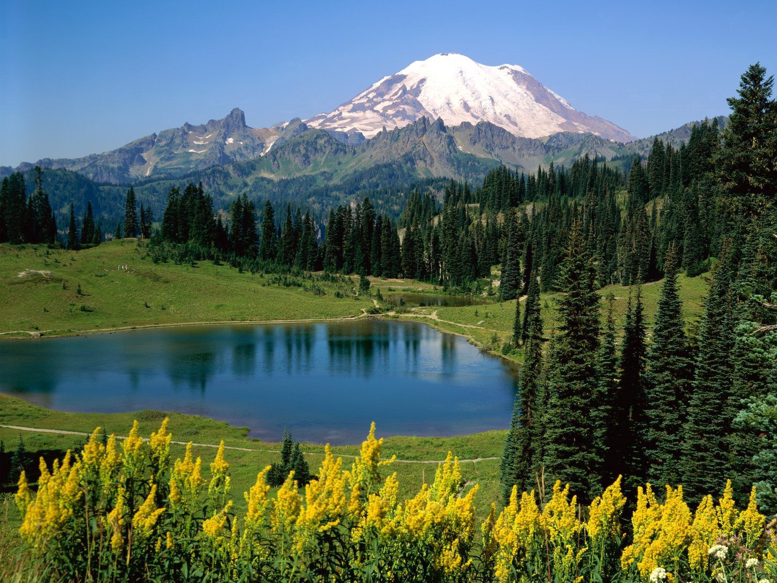 83460 скачать обои озеро, природа, альпы, луг, горы, цветы, деревья, вершина - заставки и картинки бесплатно